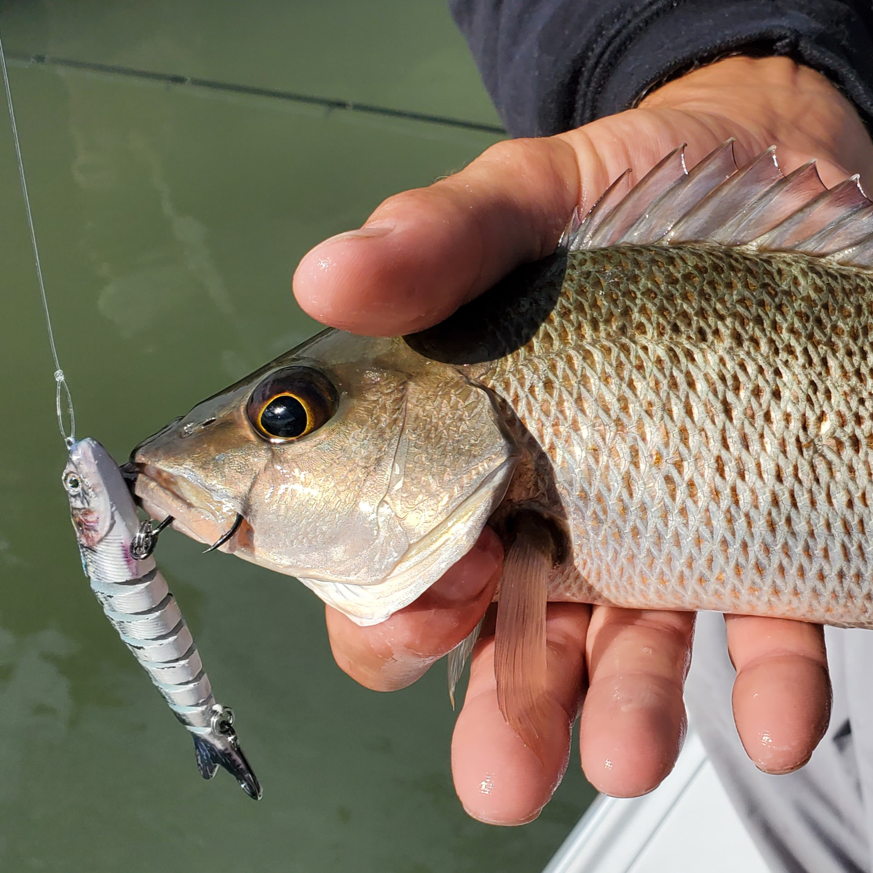 The Marea Fishing PODCAST