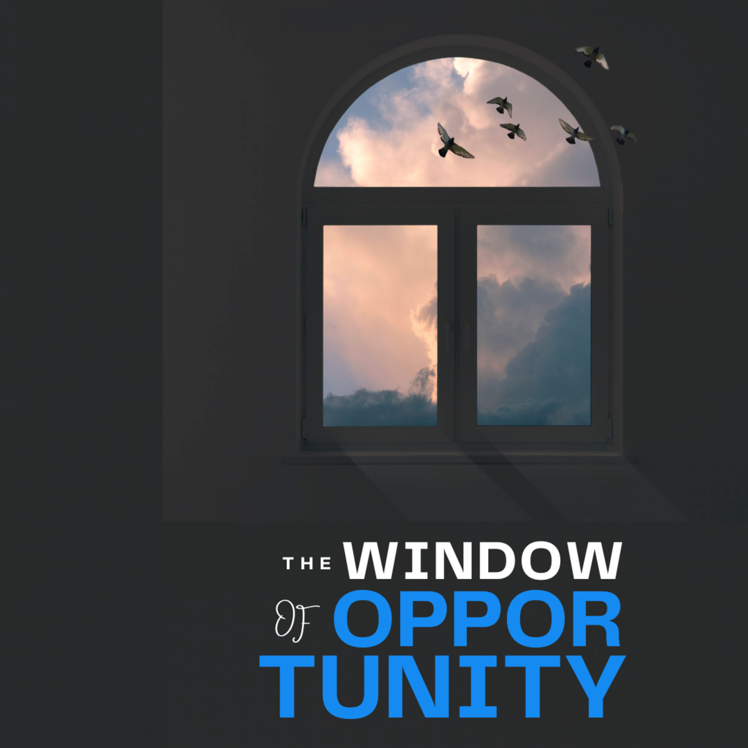 The Window Of Opportunity episode artwork