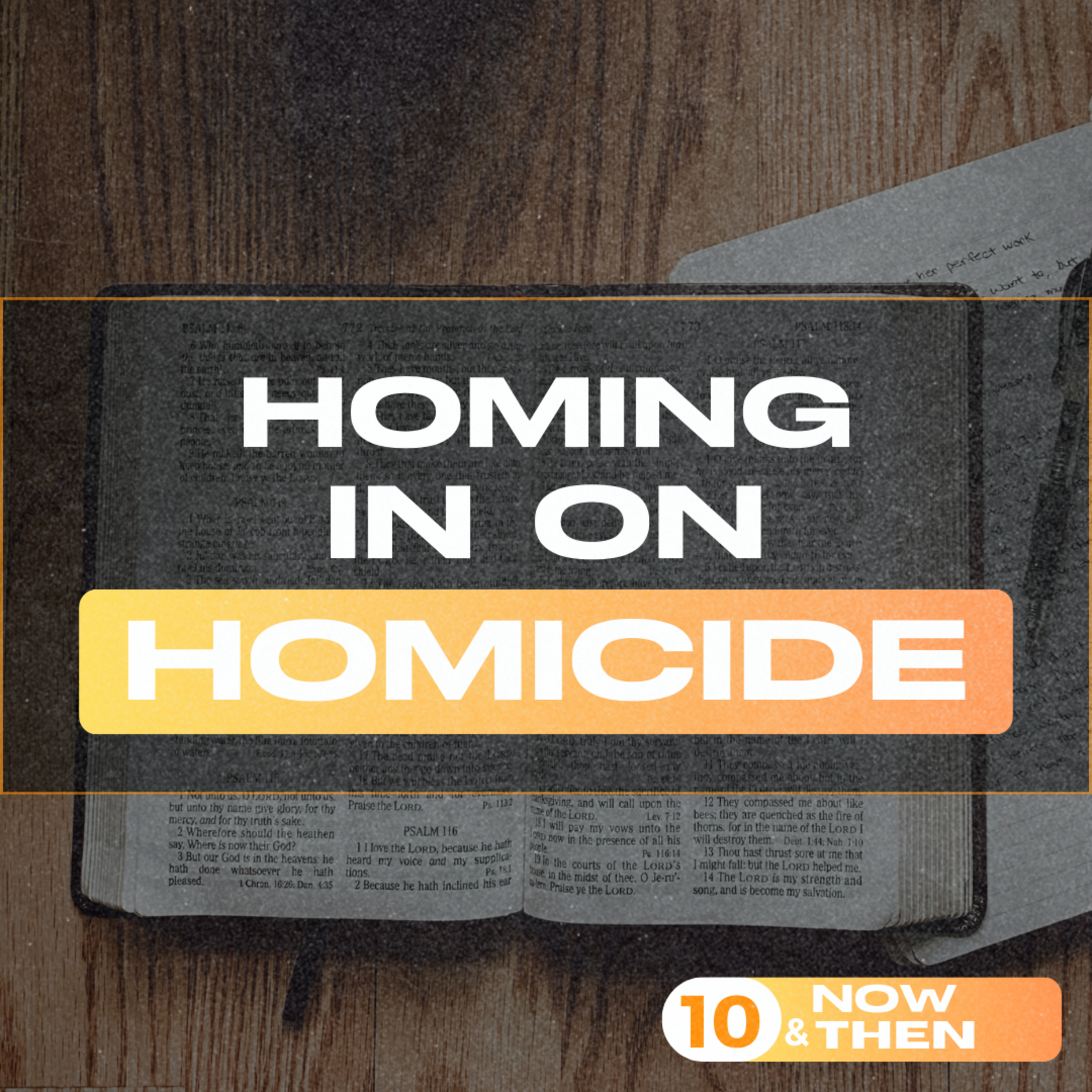 10 Now And Then (Series) | Homing In On Homicide - Episode 6 episode artwork