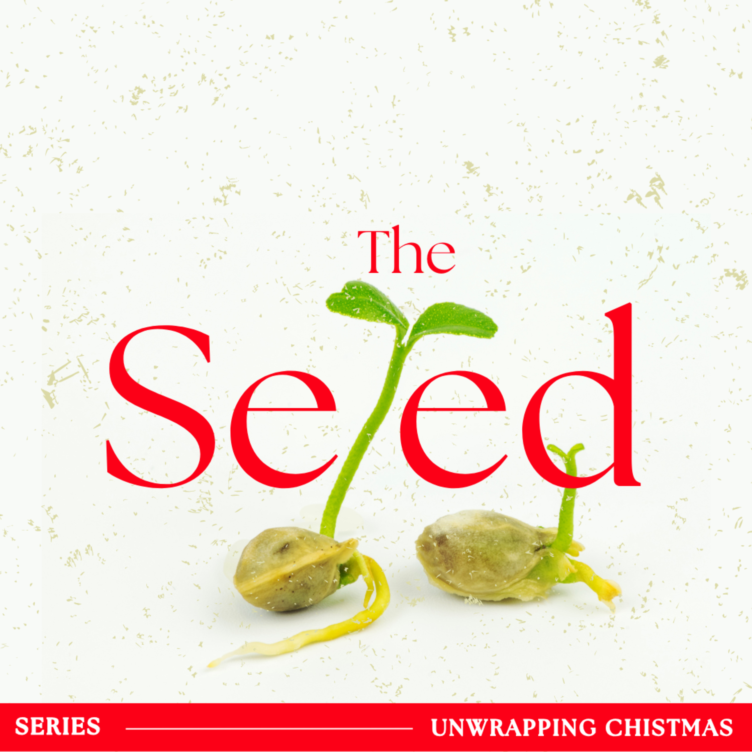 Unwrapping Christmas (Series) | The Seed episode artwork