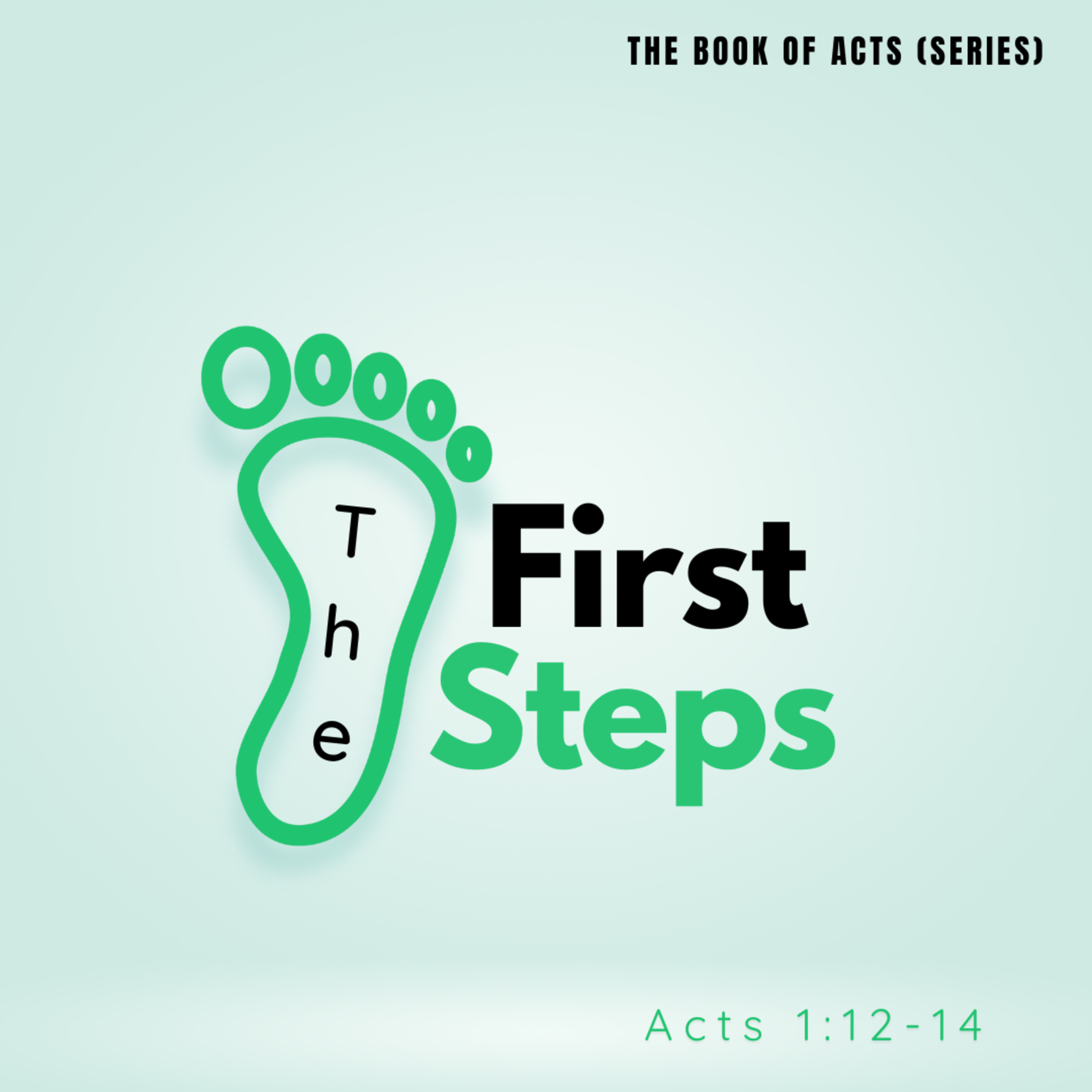 The Book of Acts (Series) | The First Steps episode artwork