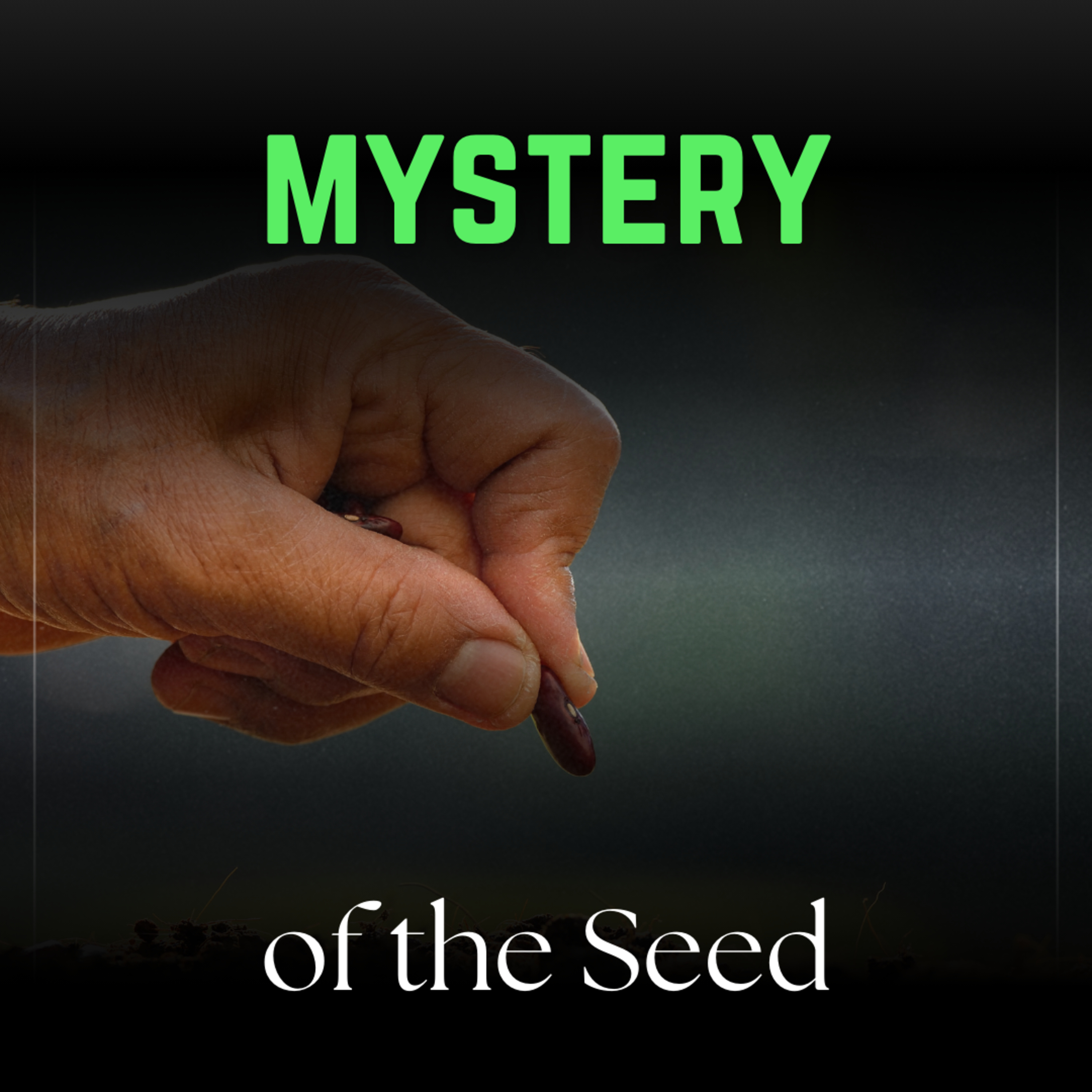 Mystery of The Seed | Pastor Chiso Nwokoro episode artwork