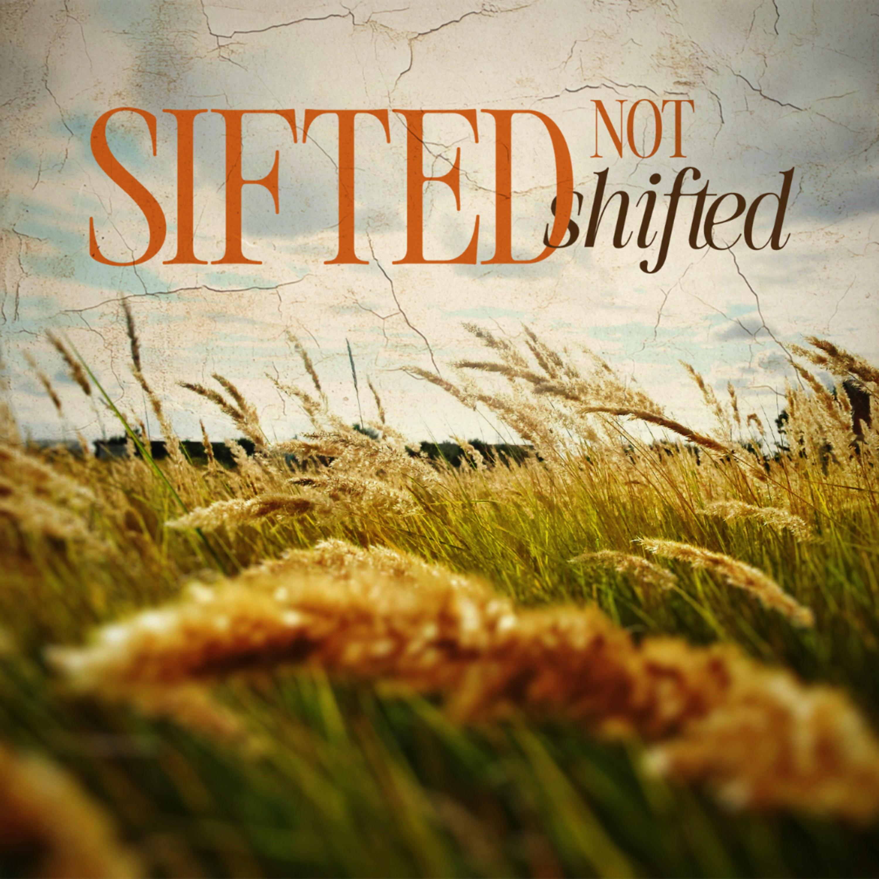 Sifted But Not Shifted episode artwork