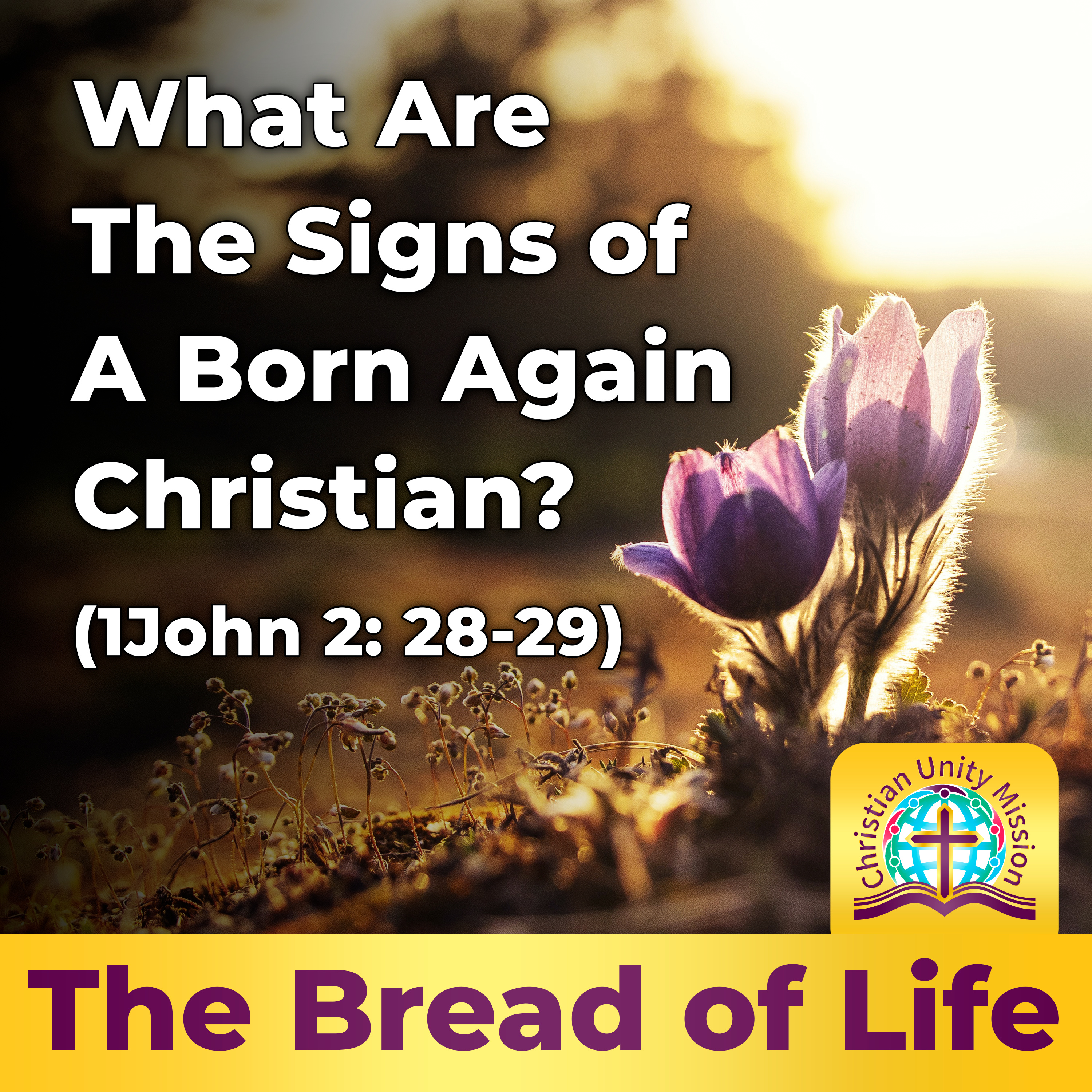 The Bread of Life