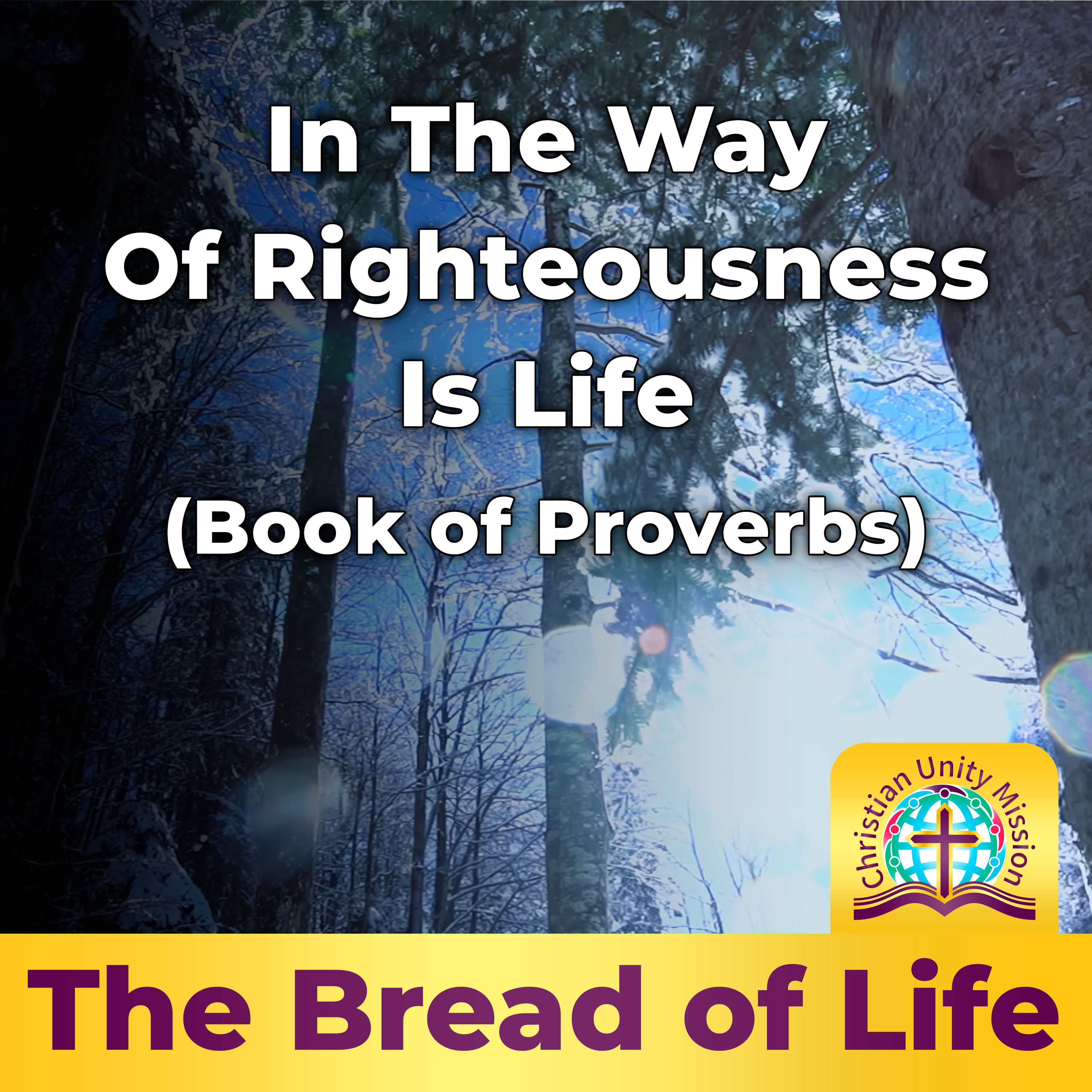 In The Way Of Righteousness Is Life (Book of Proverbs) episode artwork