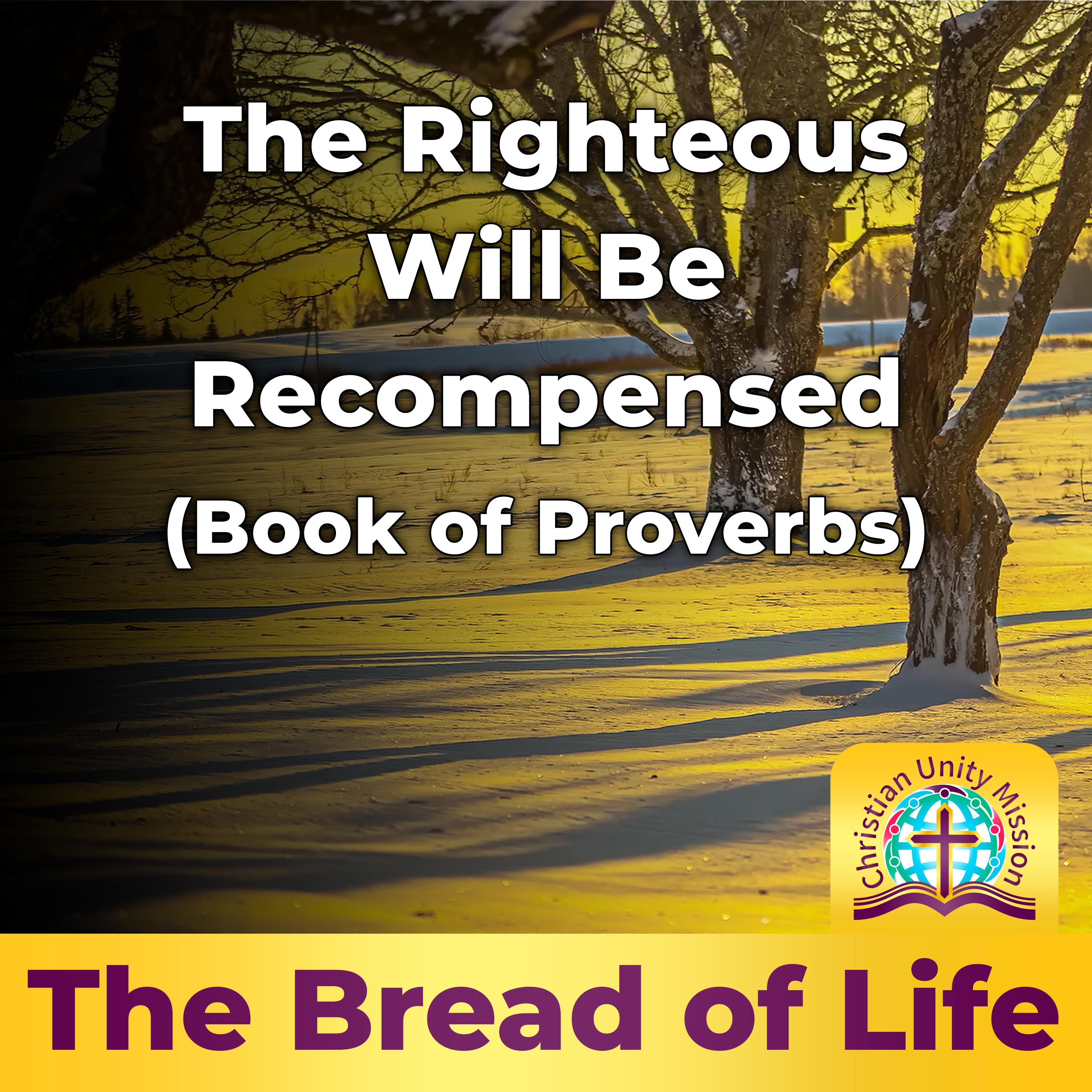 The Righteous Will Be Recompensed (Book of Proverbs) episode artwork