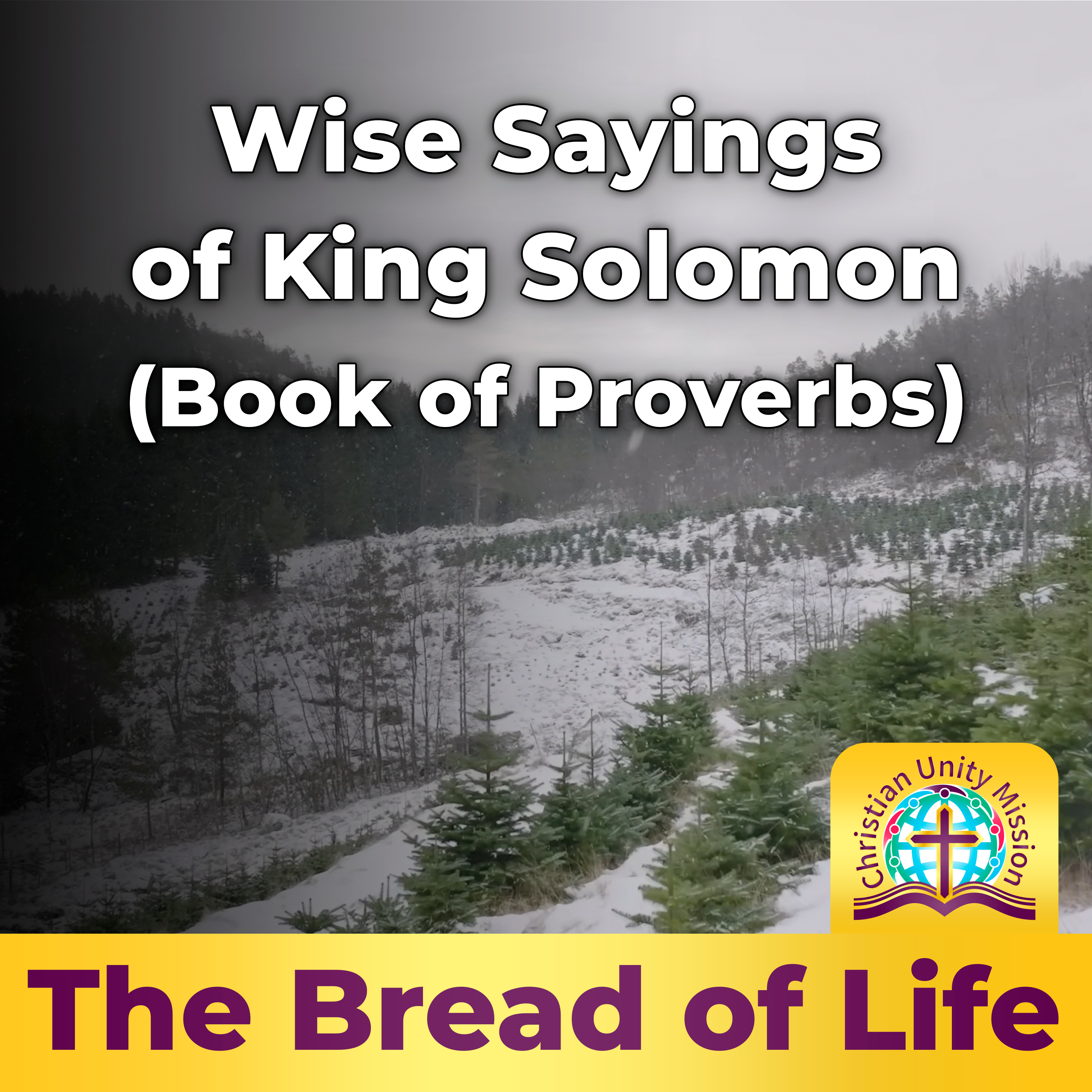 Wise Sayings of King Solomon (Book of Proverbs) episode artwork