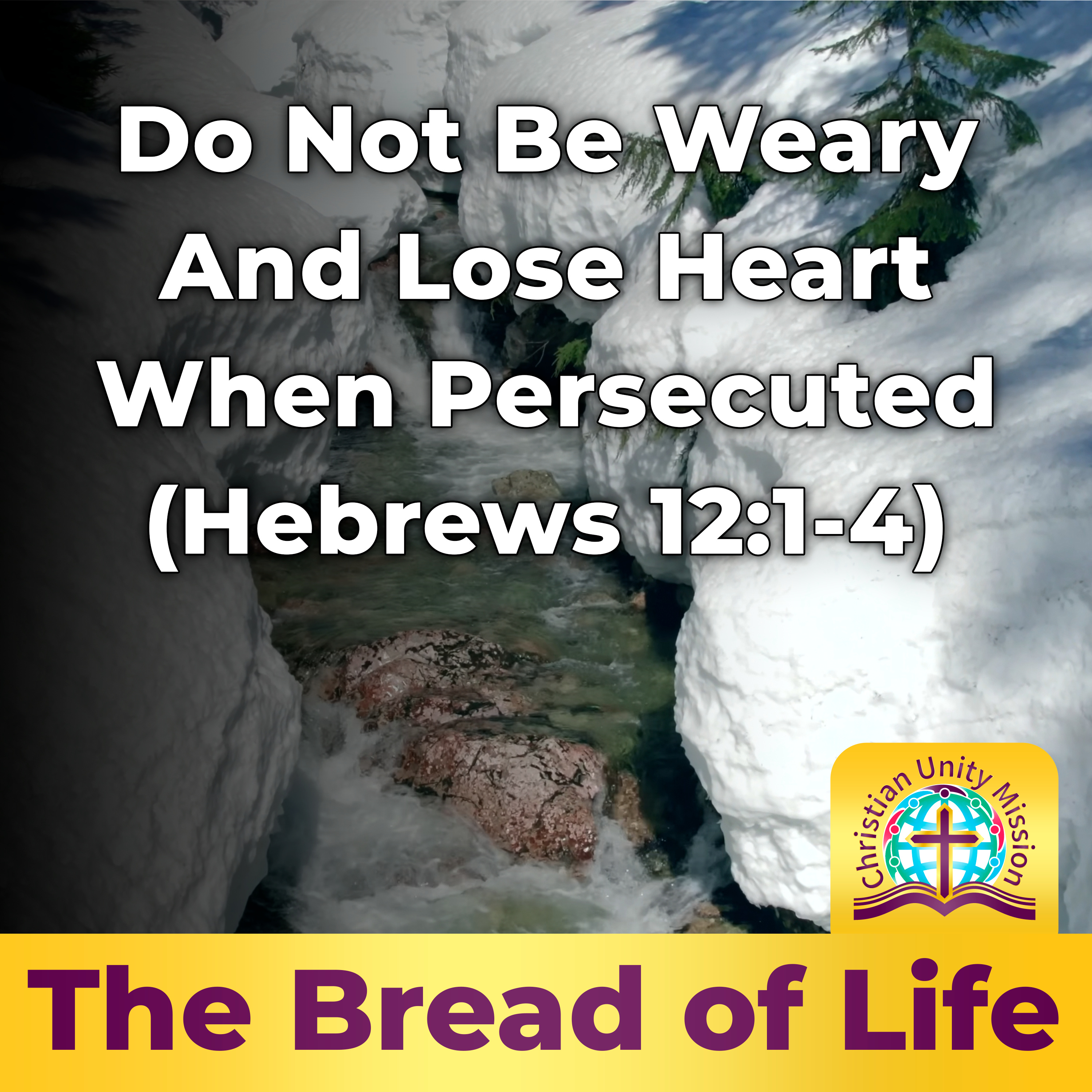 Do Not Be Weary And Lose Heart When Persecuted (Hebrews 12:1-4) episode artwork