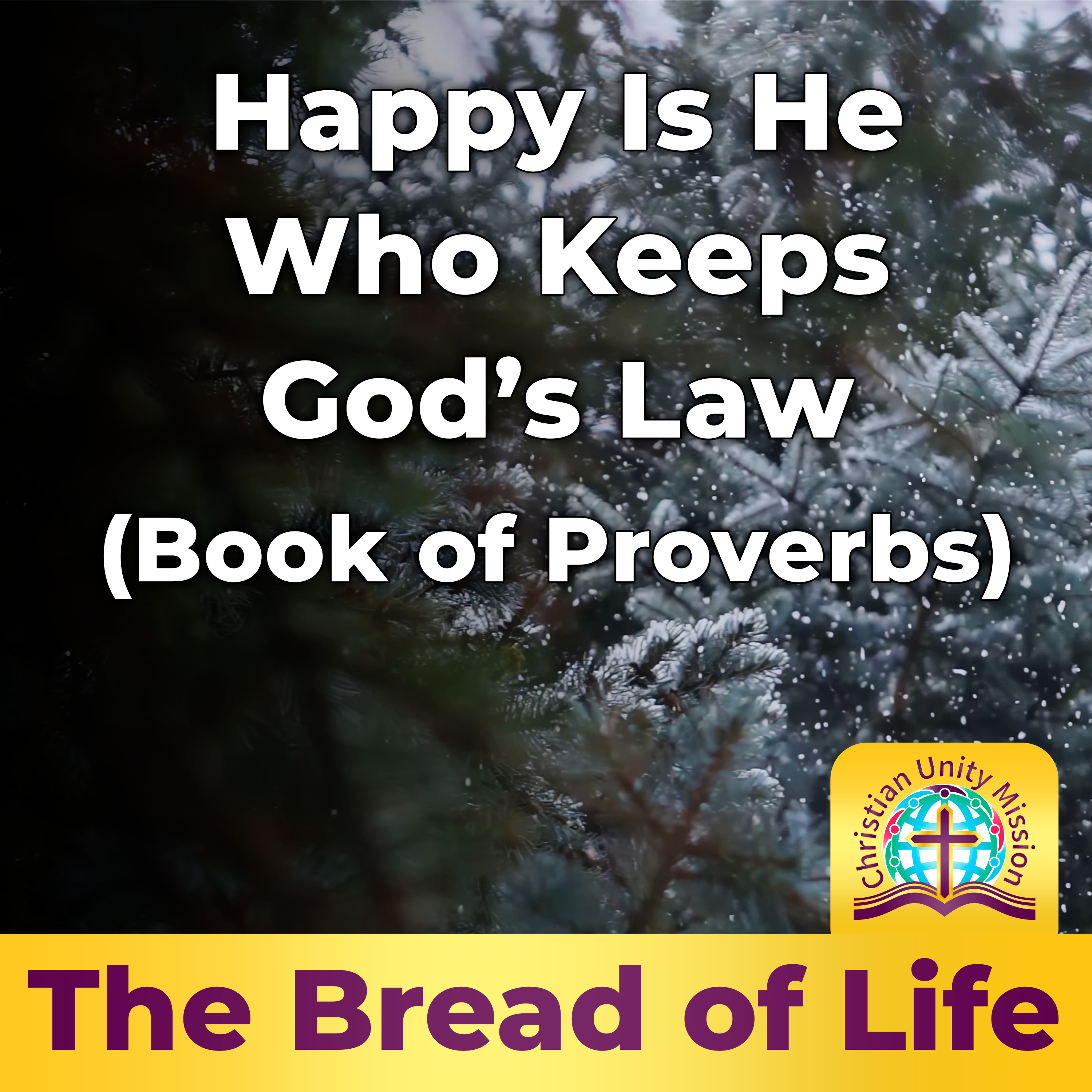 Happy Is He Who Keeps God’s Law (Book of Proverbs) episode artwork
