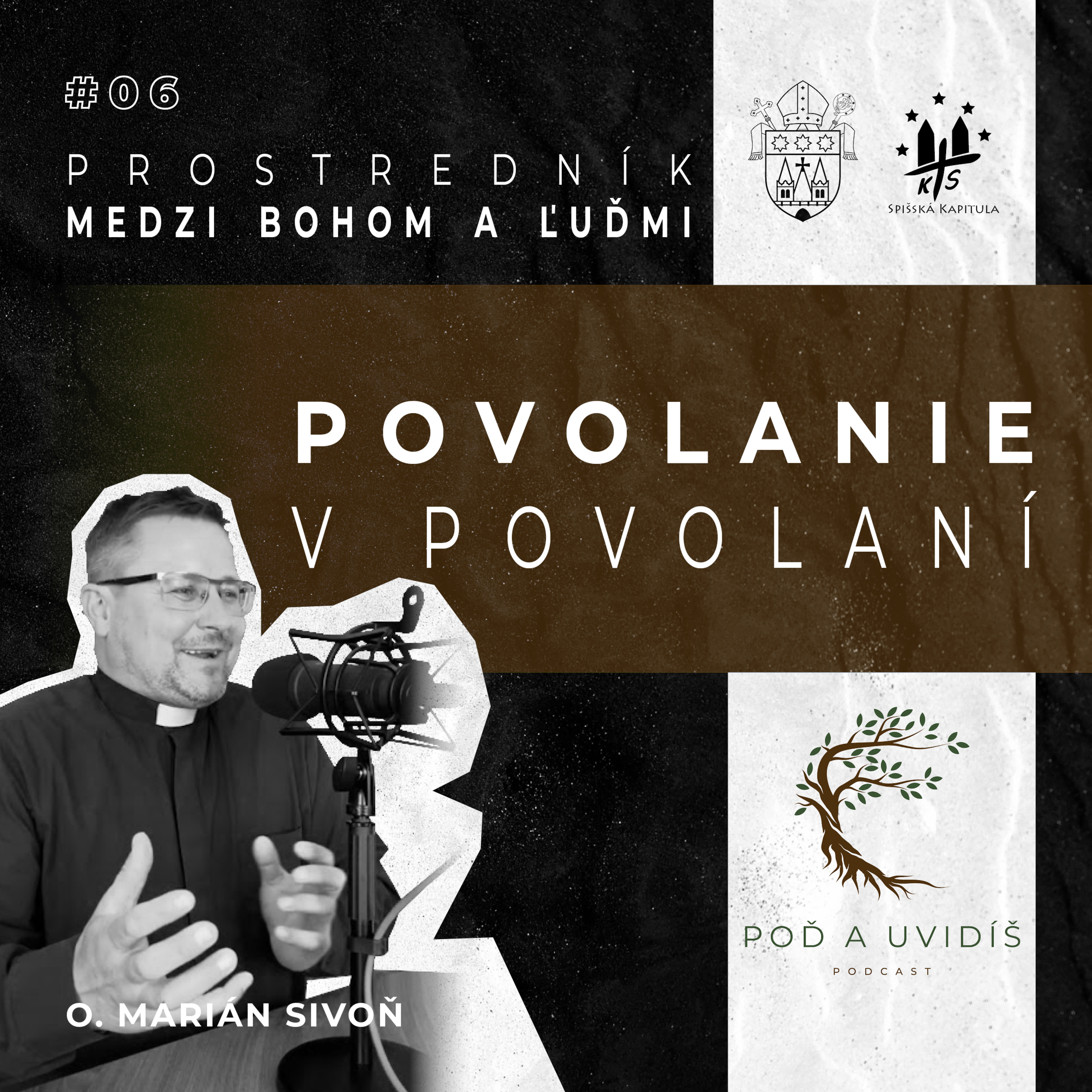 #06 Povolanie v povolaní (o. Marián Sivoň) episode artwork
