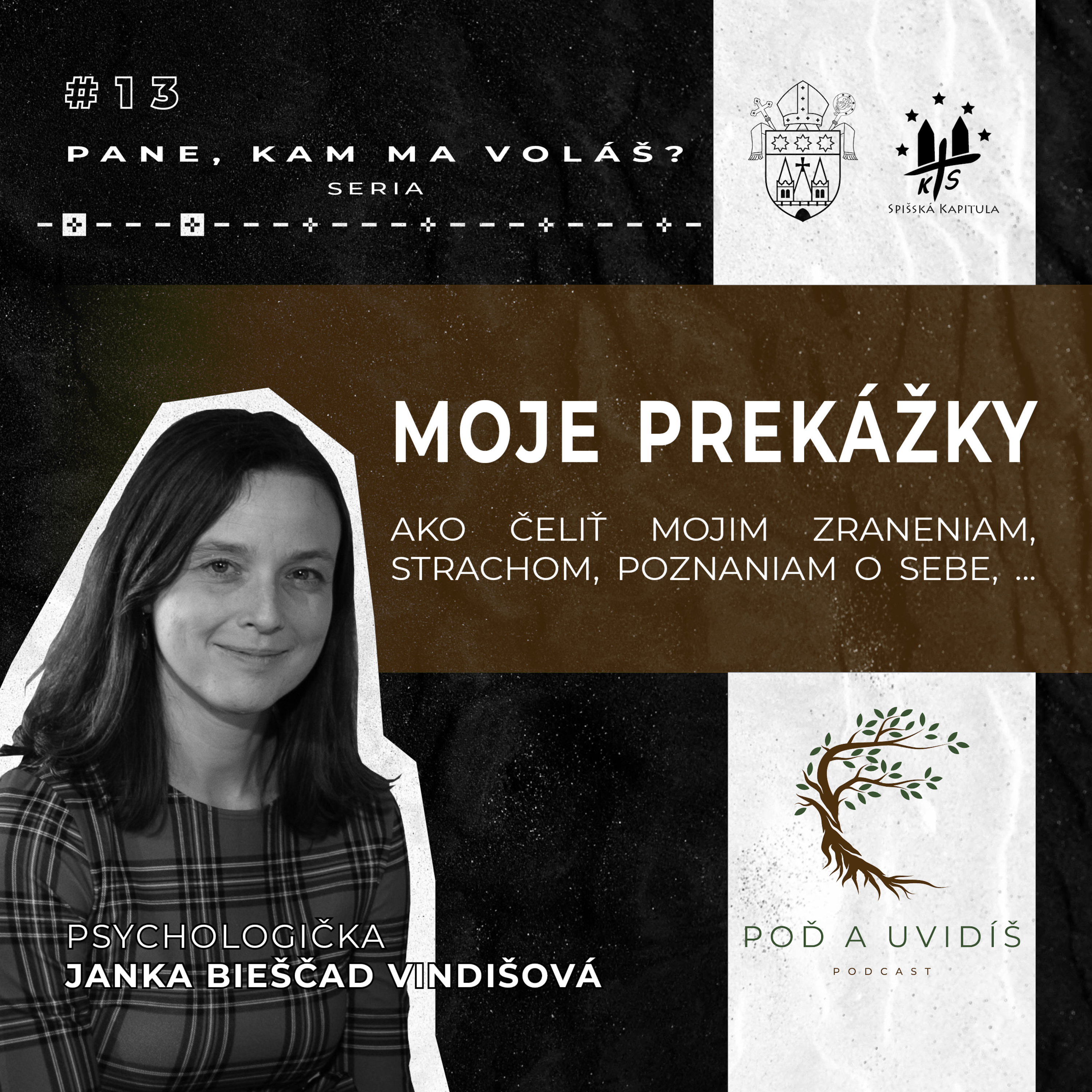 #13 MOJE PREKÁŽKY - psychologička Janka Bieščad Vindišová episode artwork
