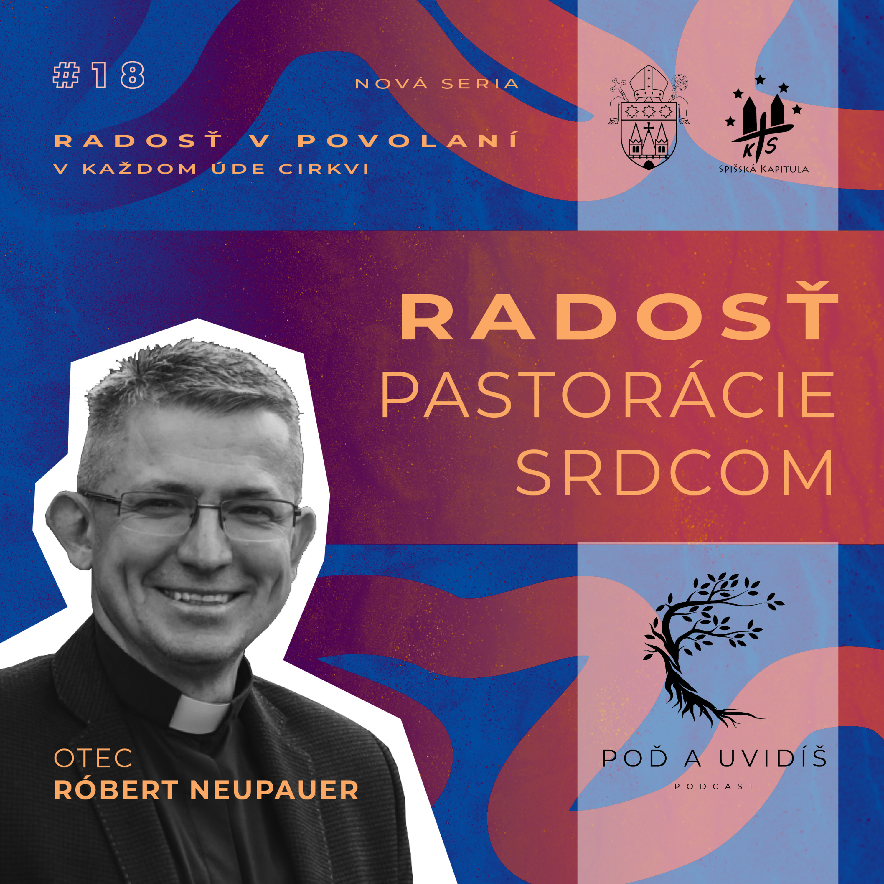 #18 Radosť pastorácie srdcom - o. Róbert Neupauer episode artwork