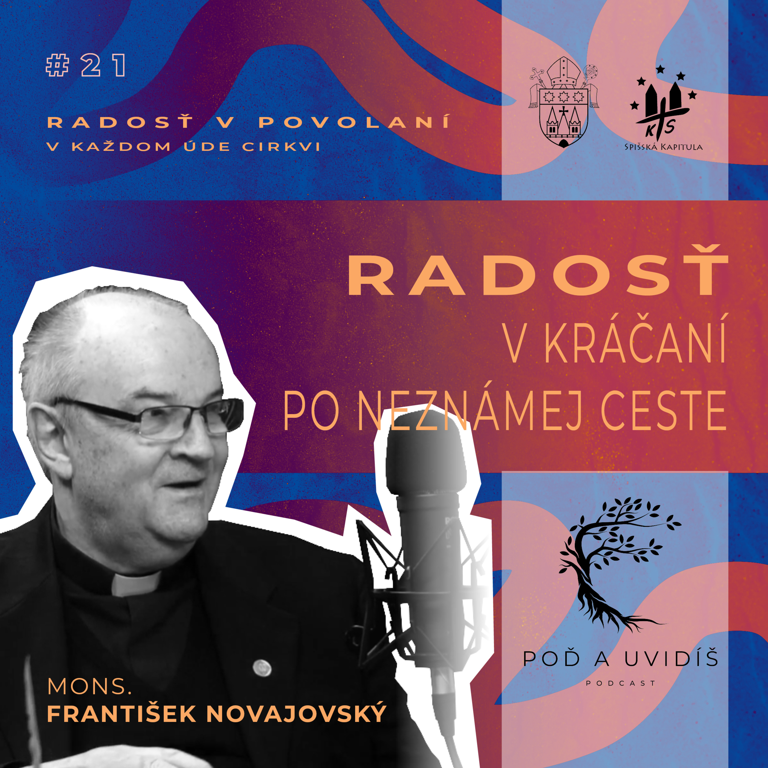 #21 Radosť v kráčaní po neznámej ceste - Mons. František Novajovský  episode artwork