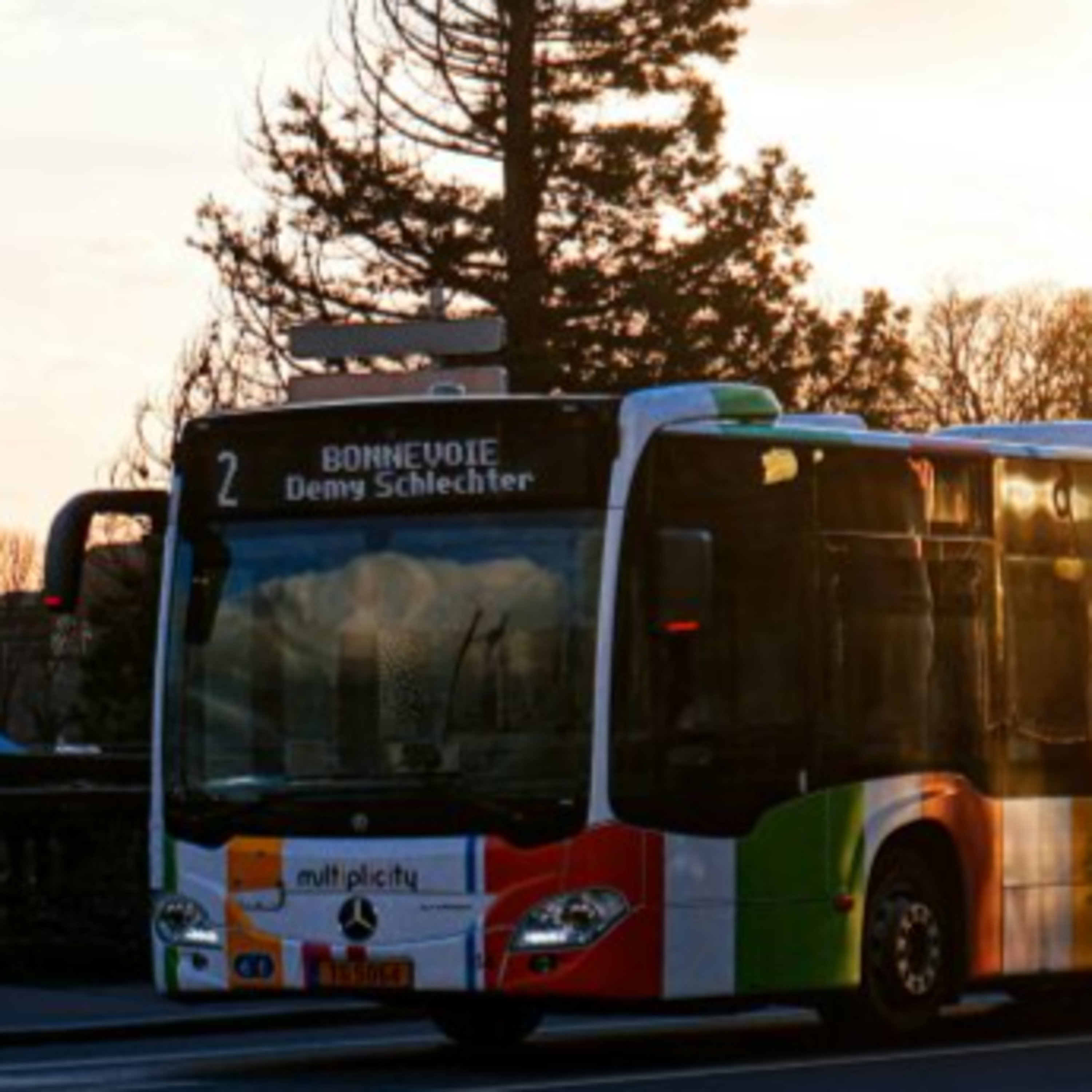 Trabalho e Sociedade TP.3 EP 17