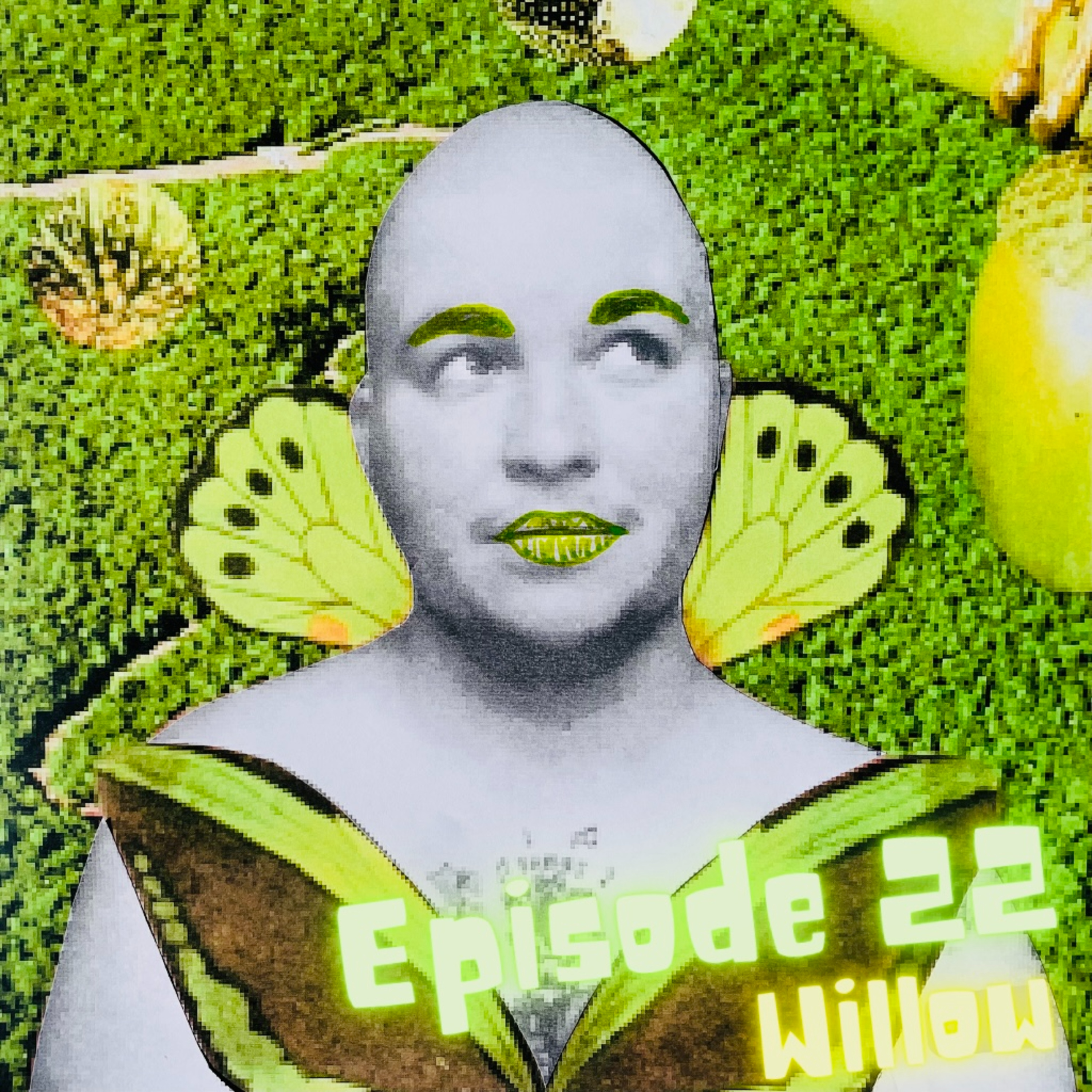 Épisode 22 - Willow episode artwork