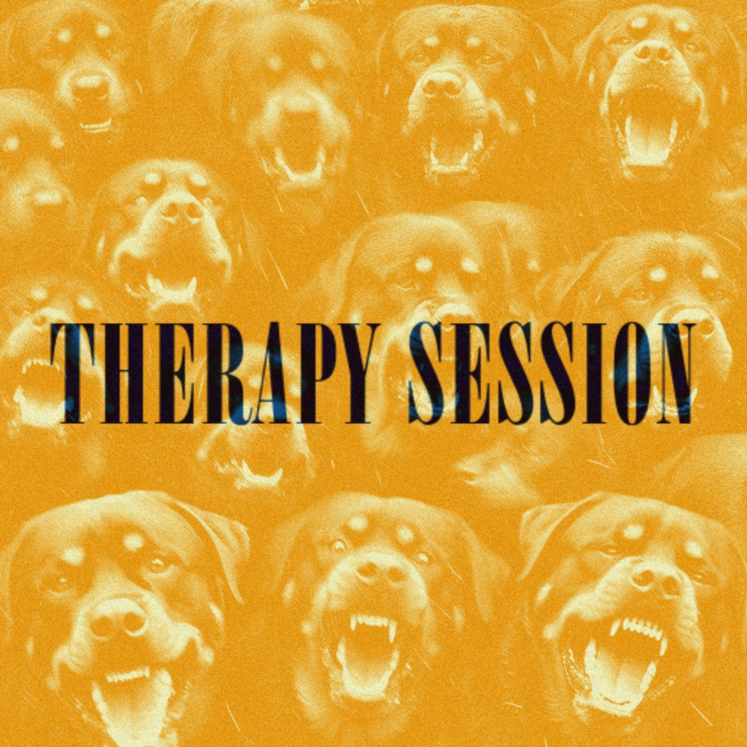 Therapy Session/How You Been, Cam? episode artwork
