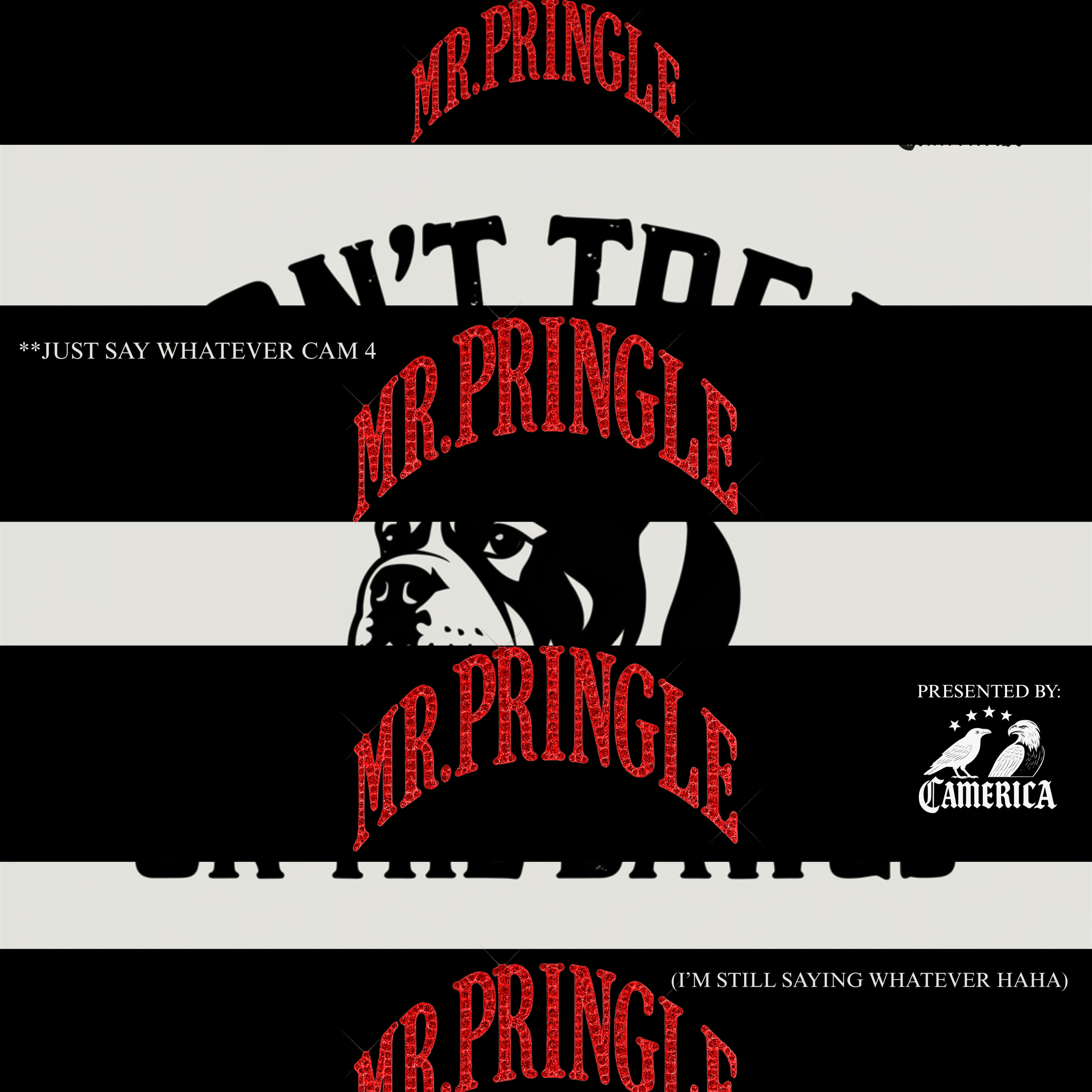 A Chat With Mr. Pringle (Season 4, Episode 7) | Don’t Tread On The Dawgs episode artwork