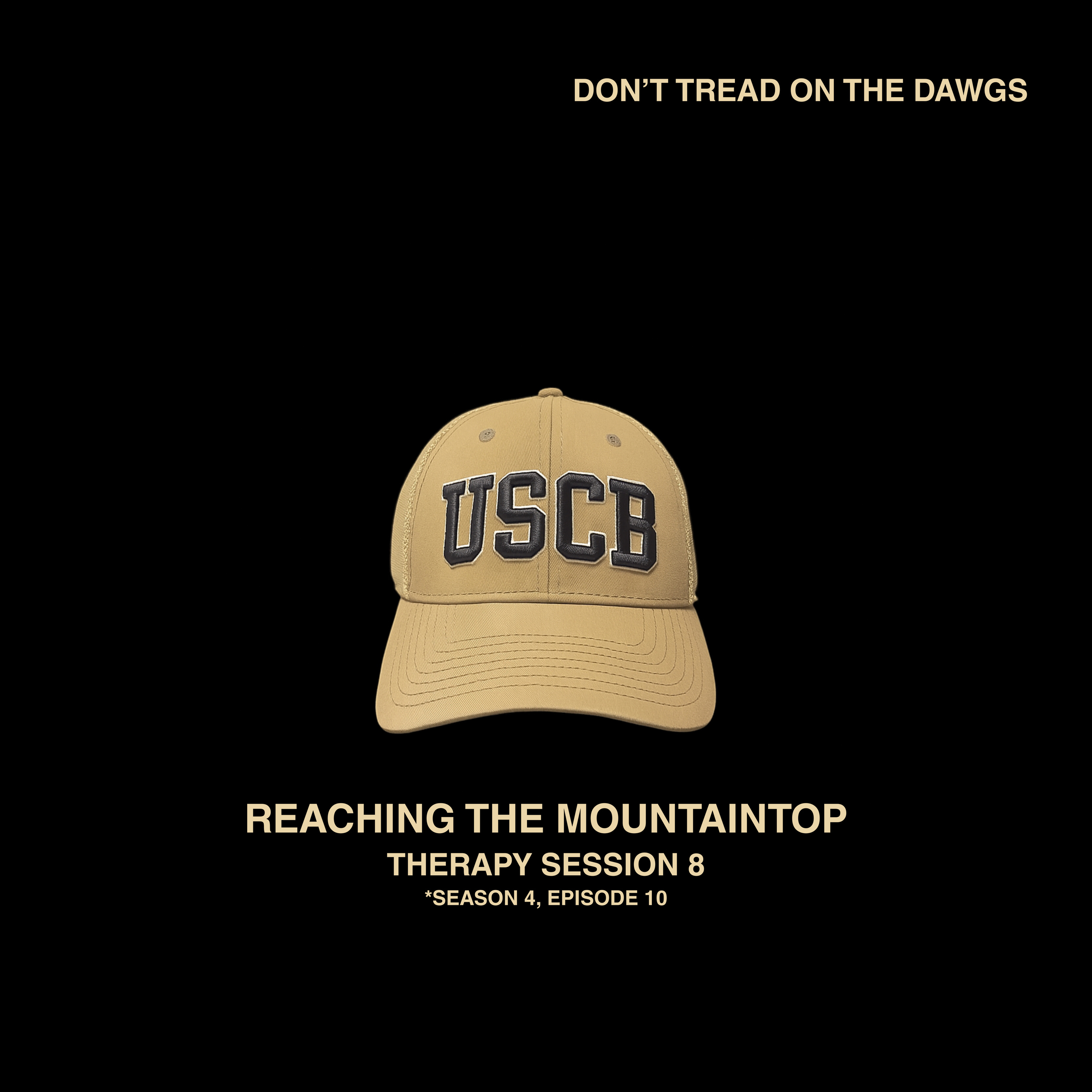 Reaching The Mountaintop: Therapy Session 8 (Season 4, Episode 10) episode artwork