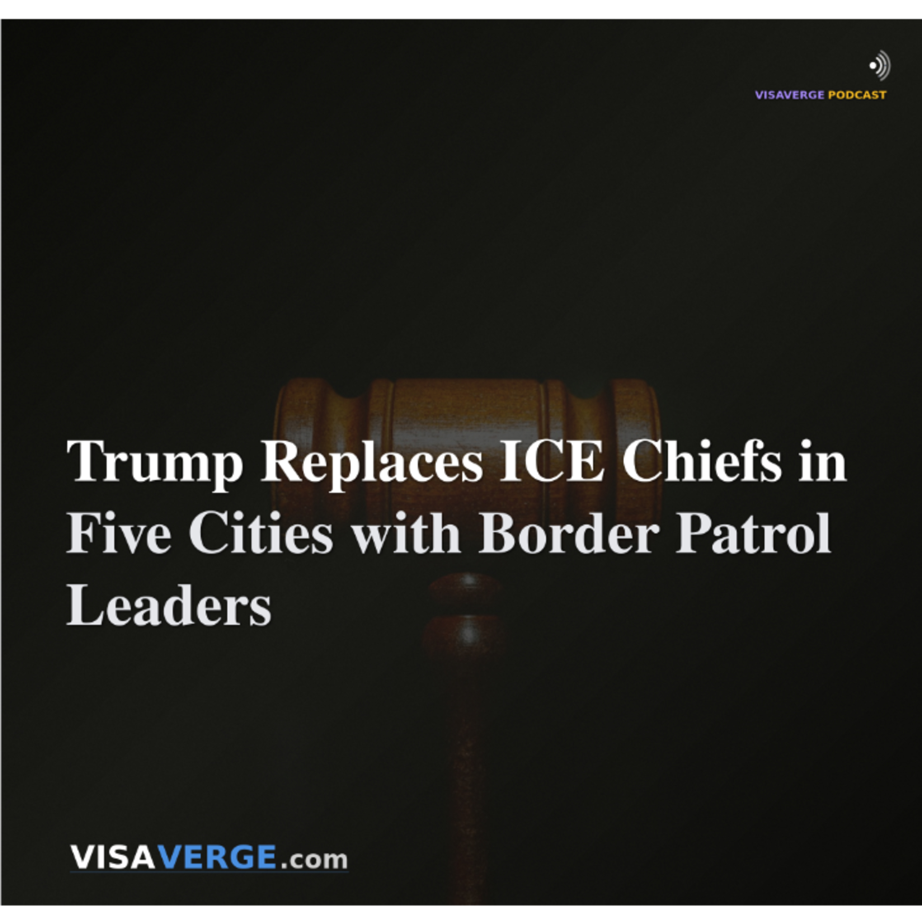 Trump Replaces ICE Chiefs in Five Cities with Border Patrol Leaders