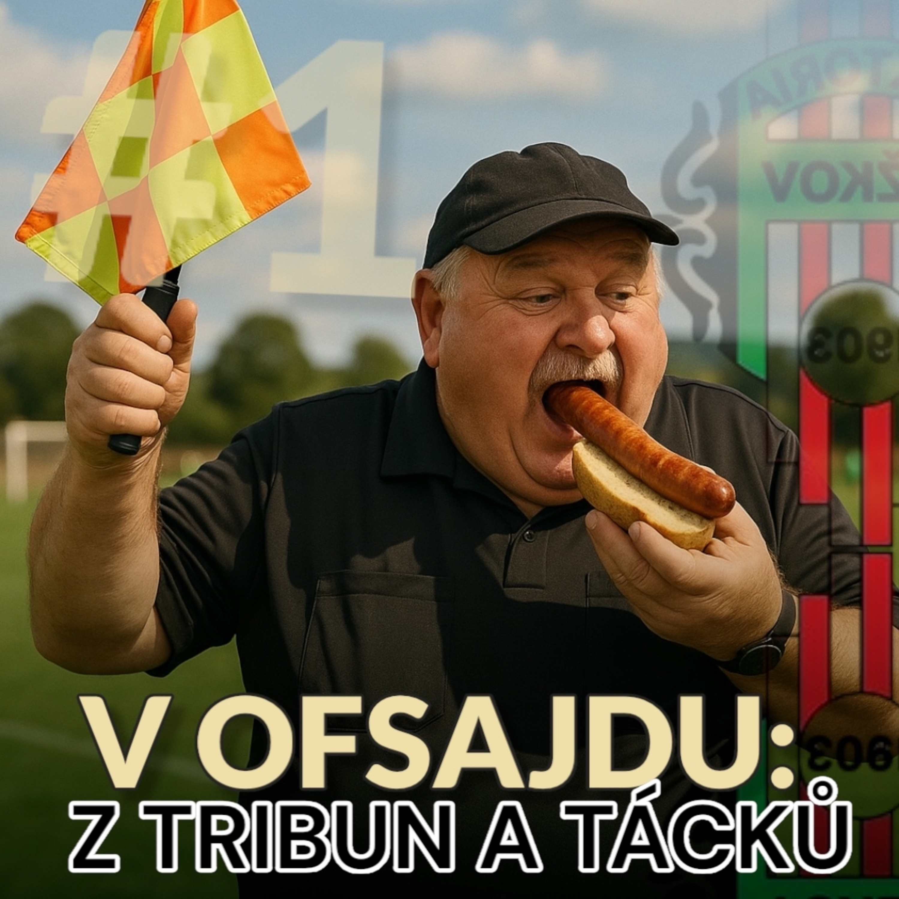 V OFSAJDU