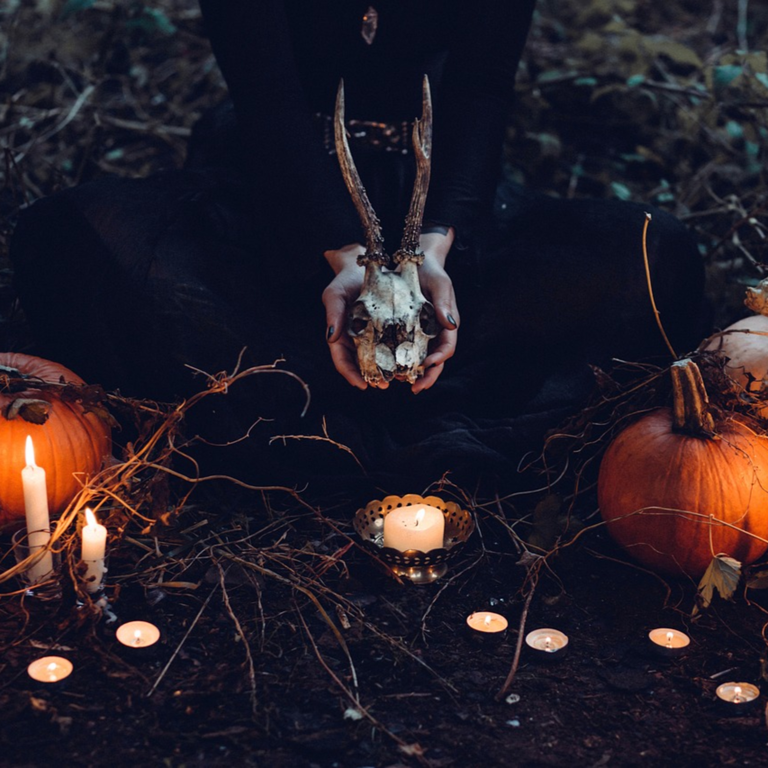 Fake Book Club Podcast