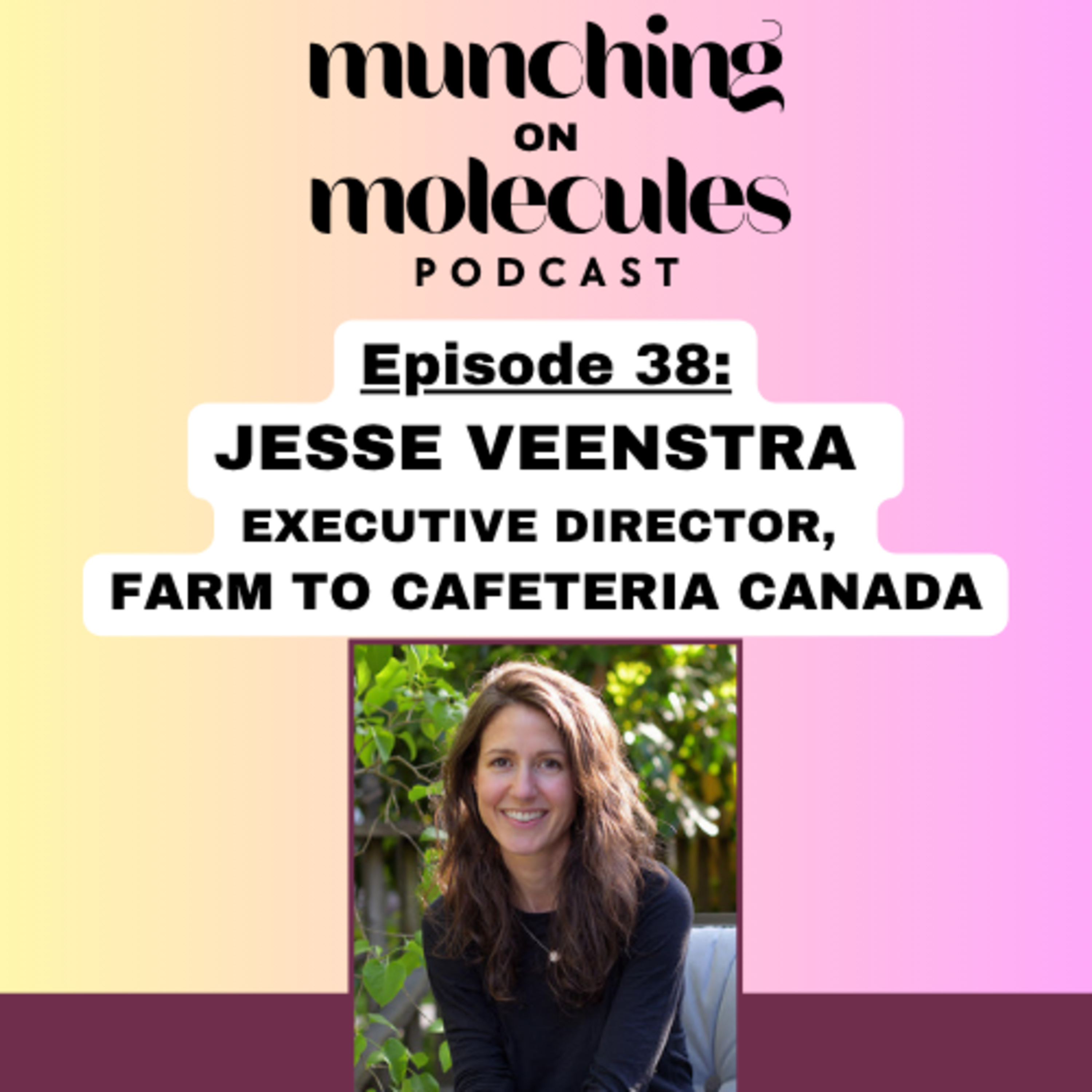 Episode 38: Transforming School Food: Learning, Celebrating, and Nourishing Through Every Bite, with Jesse Veenstra episode artwork