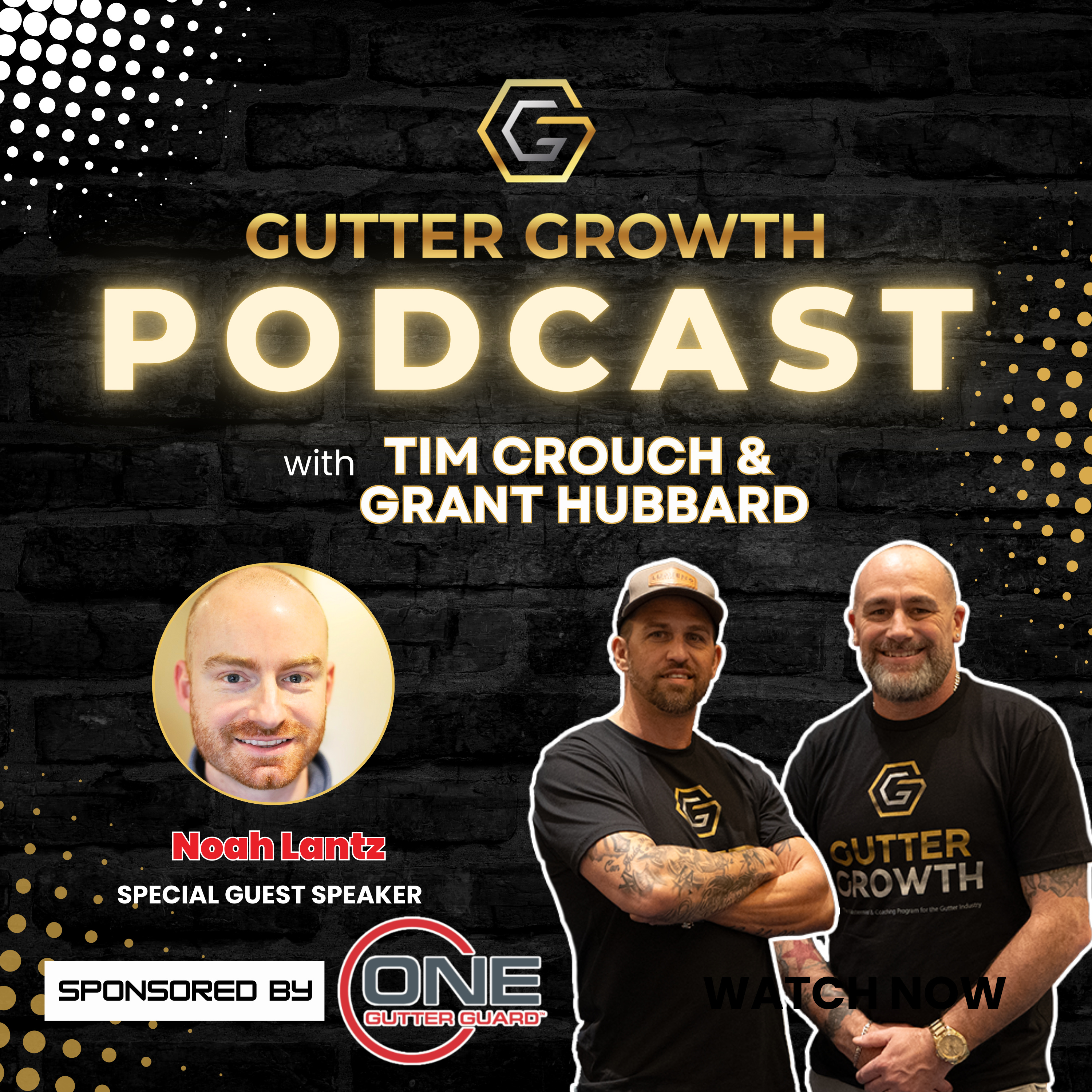 Gutter Growth Podcast | Home & Safety Tips Part 4: Expert Insights with Rain Gutter Association episode artwork