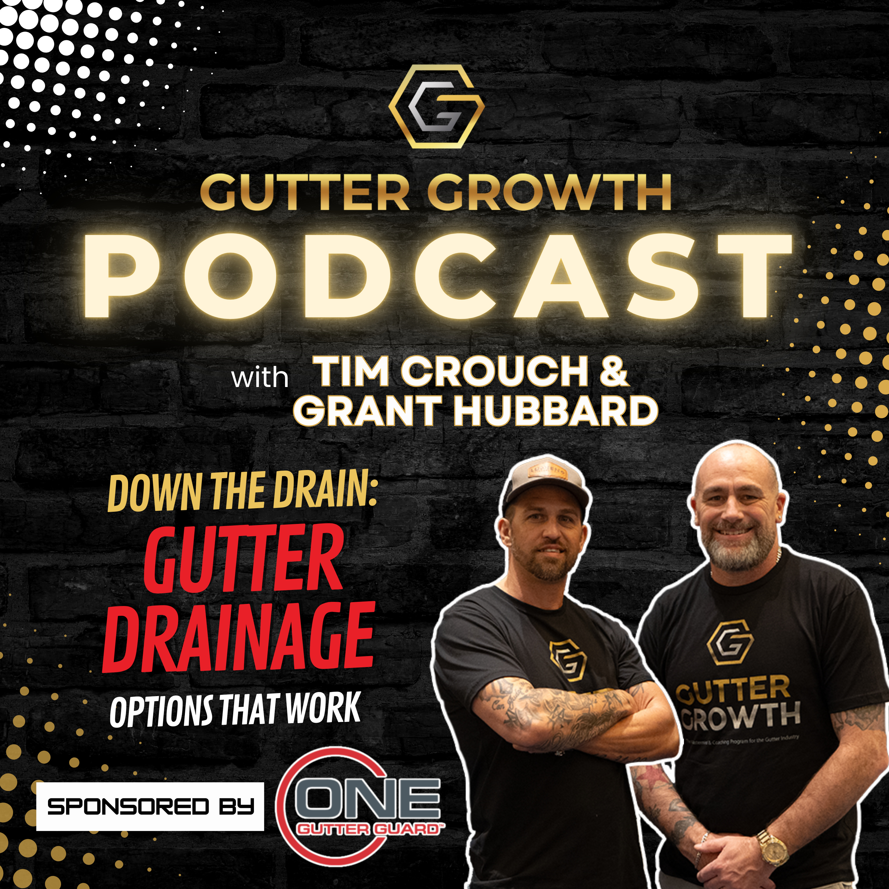 Gutter Growth Podcast | Down the Drain: Exploring Gutter Drainage Options That Work episode artwork