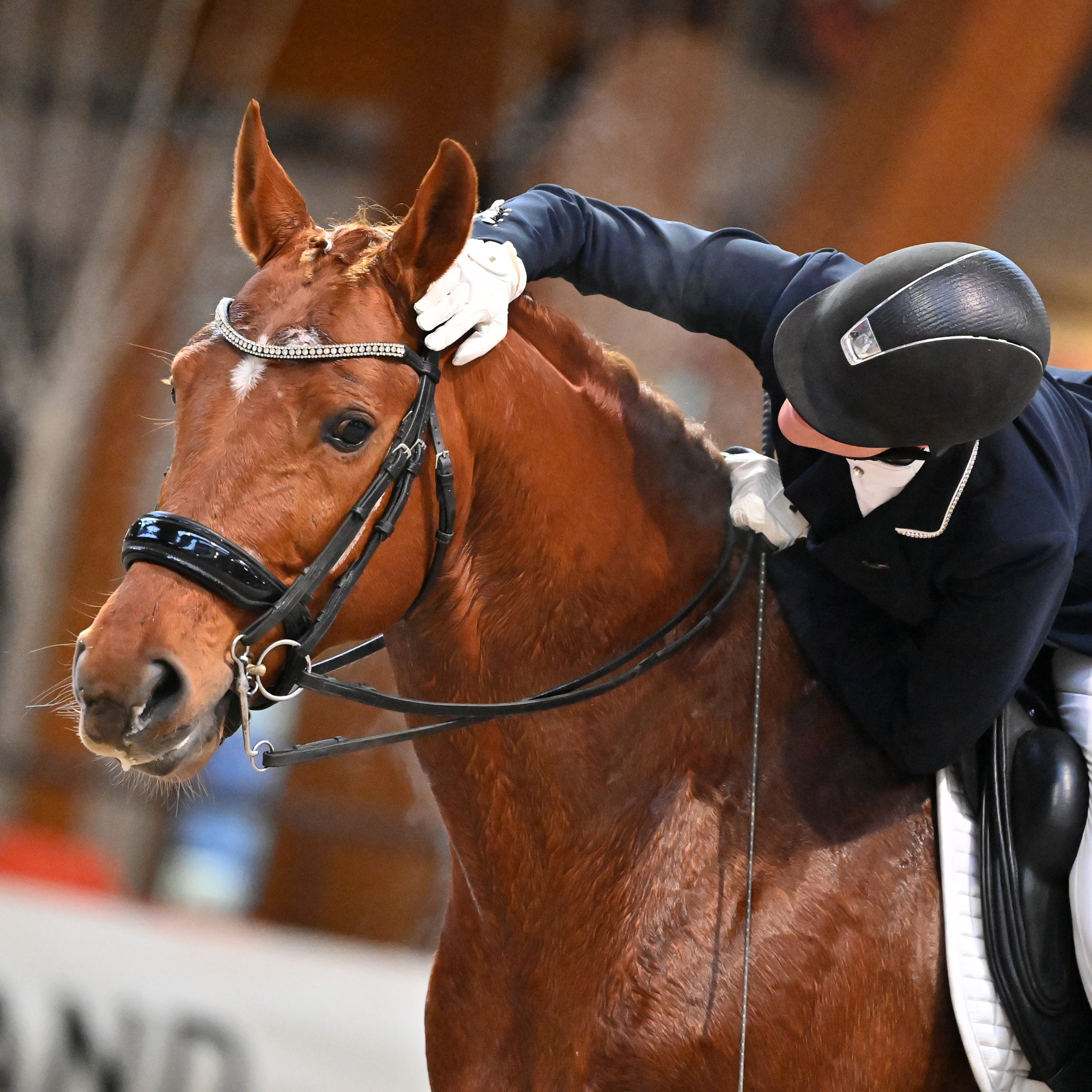 ABdressage - en équilibre - The Audrey Blau’s podcast