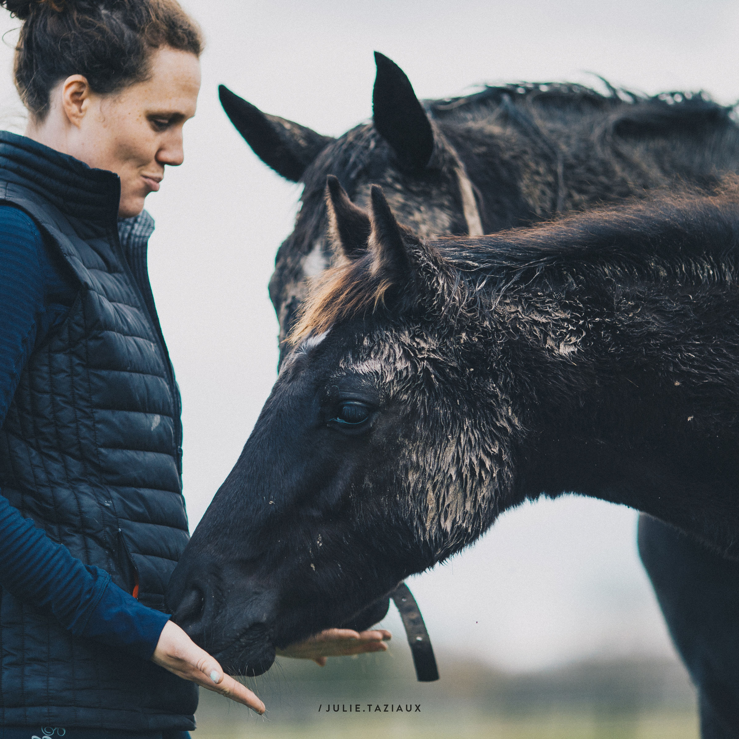 ABdressage - en équilibre - The Audrey Blau’s podcast