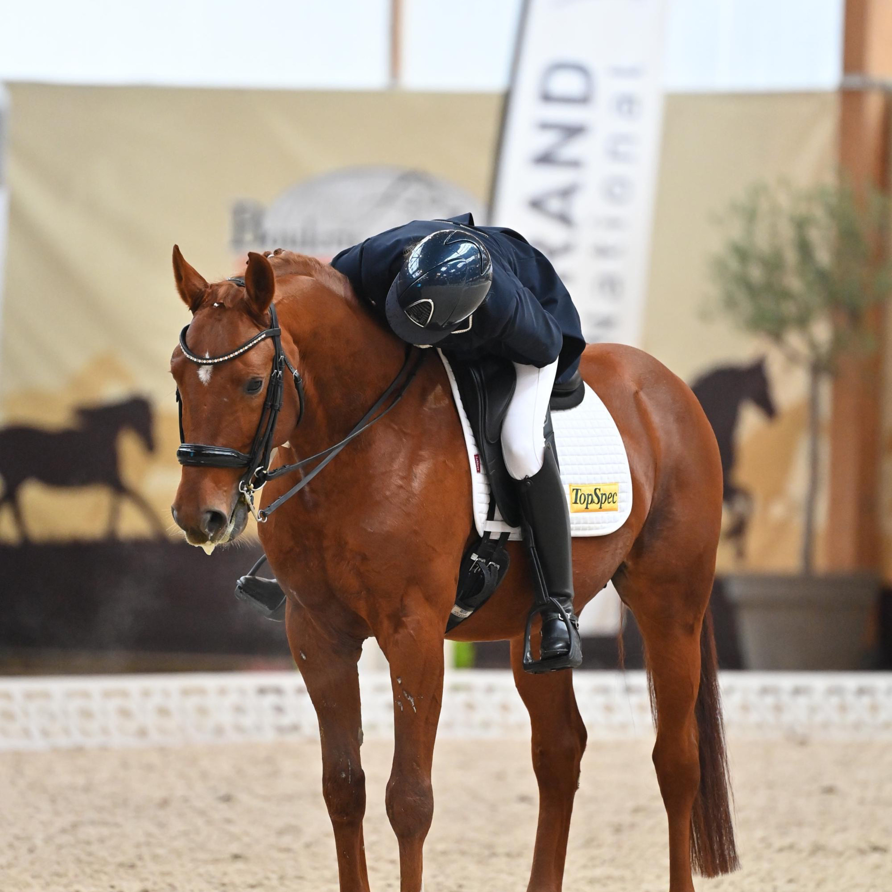 ABdressage - en équilibre - The Audrey Blau’s podcast