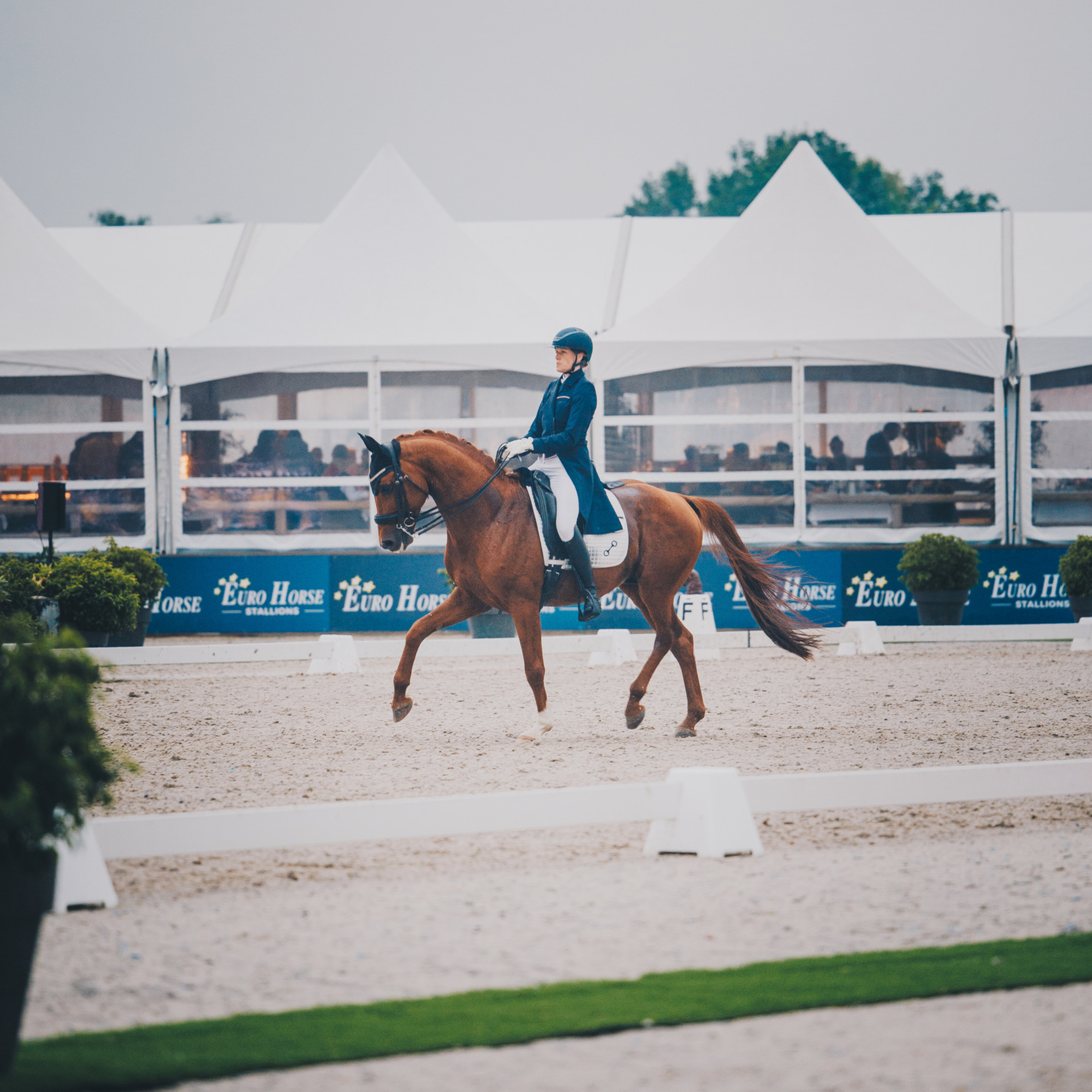 ABdressage - en équilibre - The Audrey Blau’s podcast