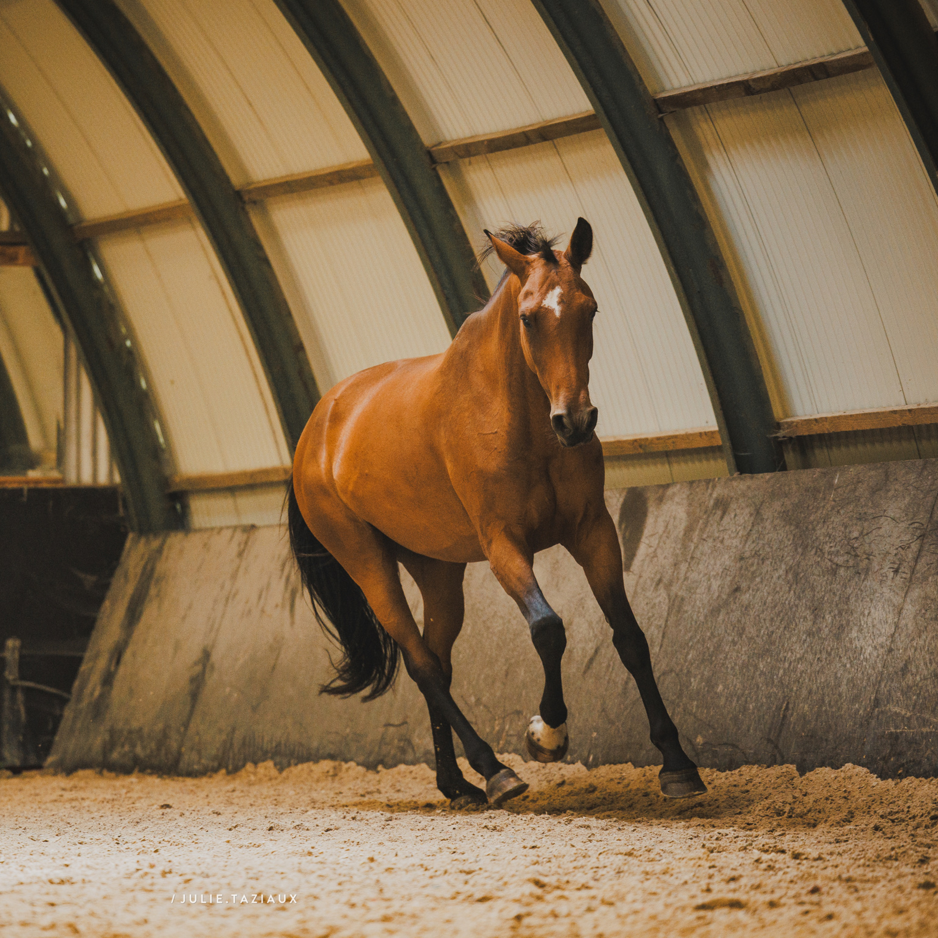 ABdressage - en équilibre - The Audrey Blau’s podcast