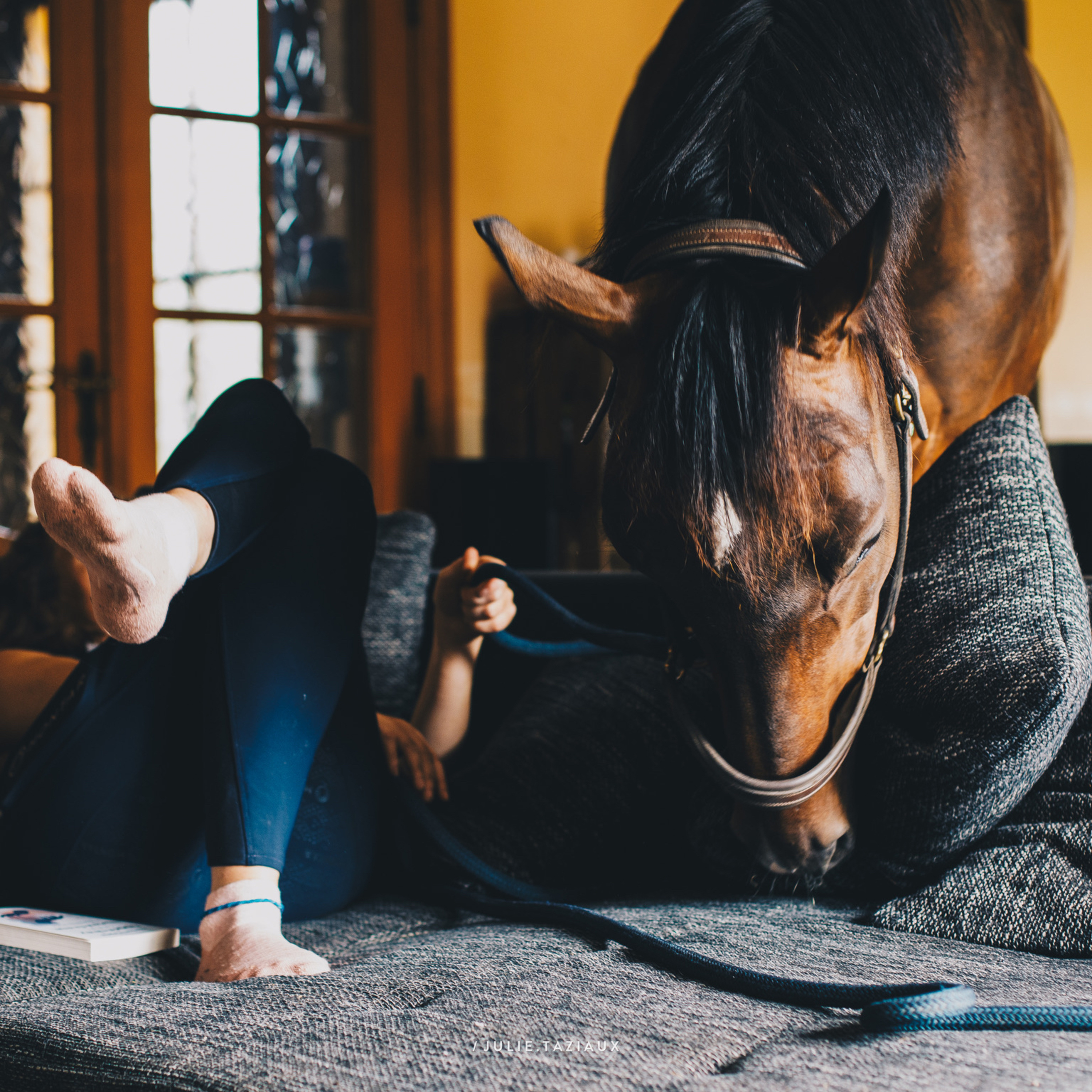 ABdressage - en équilibre - The Audrey Blau’s podcast