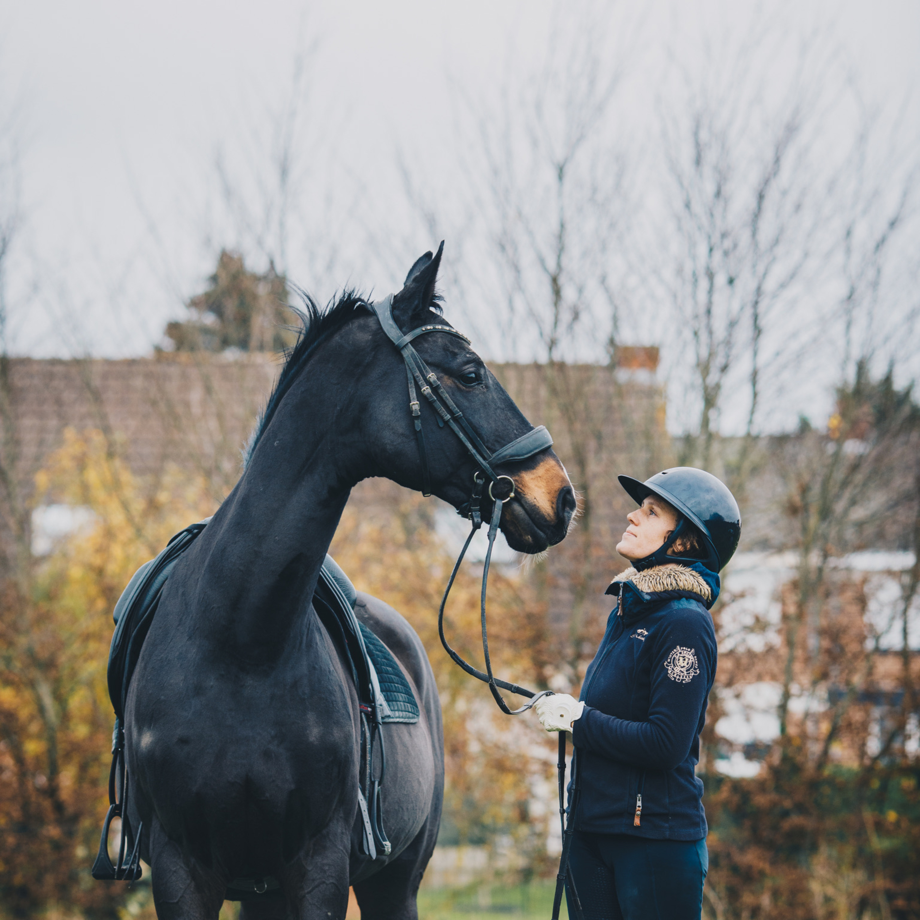 ABdressage - en équilibre - The Audrey Blau’s podcast