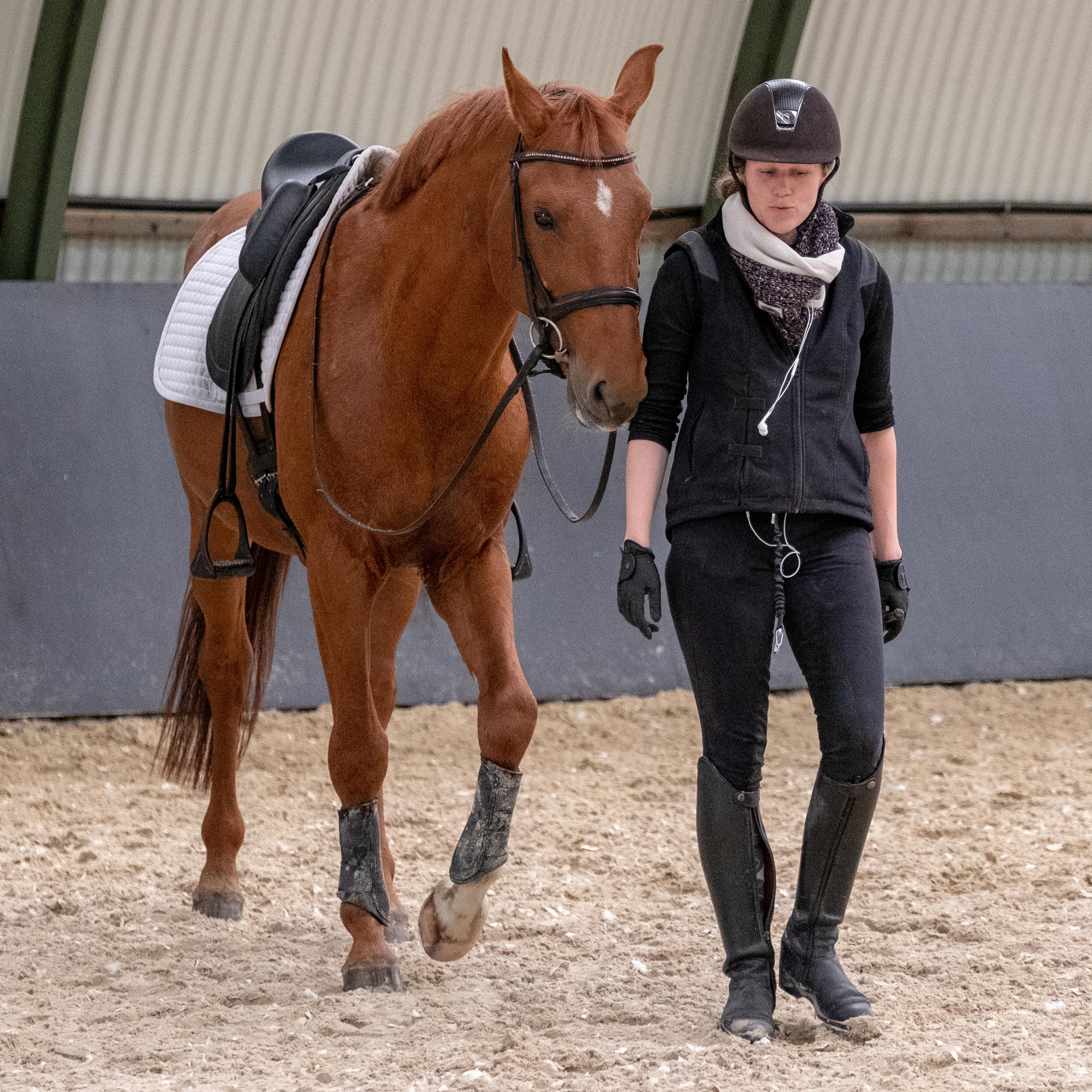 ABdressage - en équilibre - The Audrey Blau’s podcast