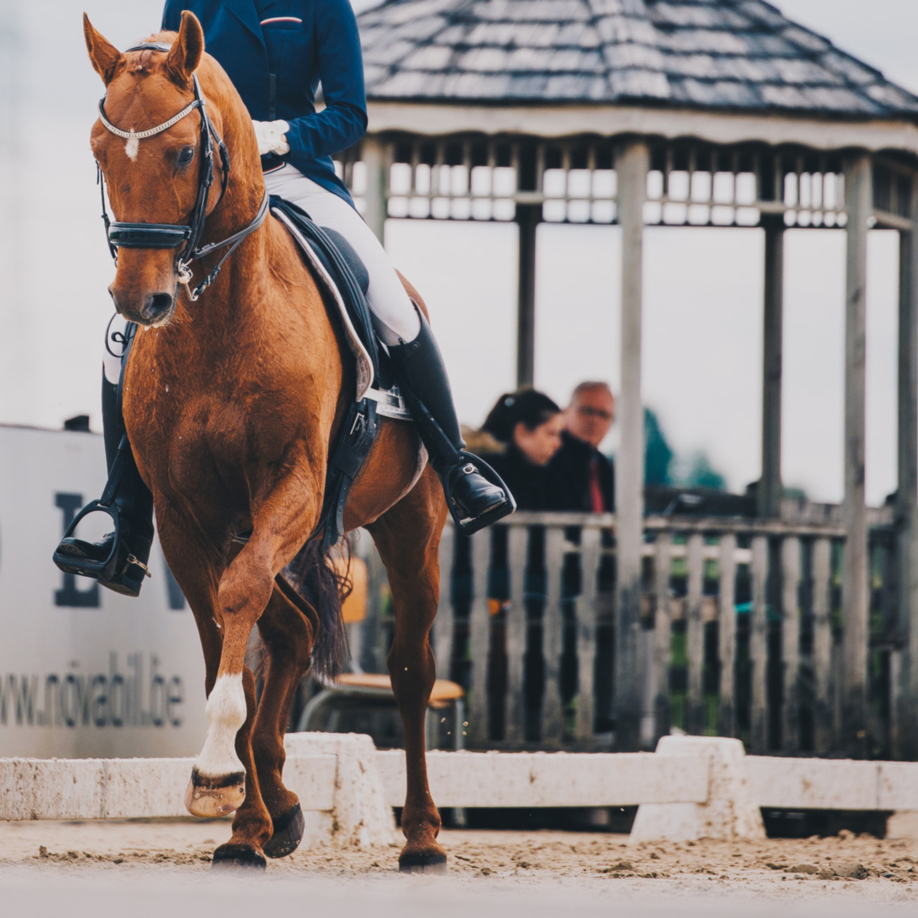ABdressage - en équilibre - The Audrey Blau’s podcast