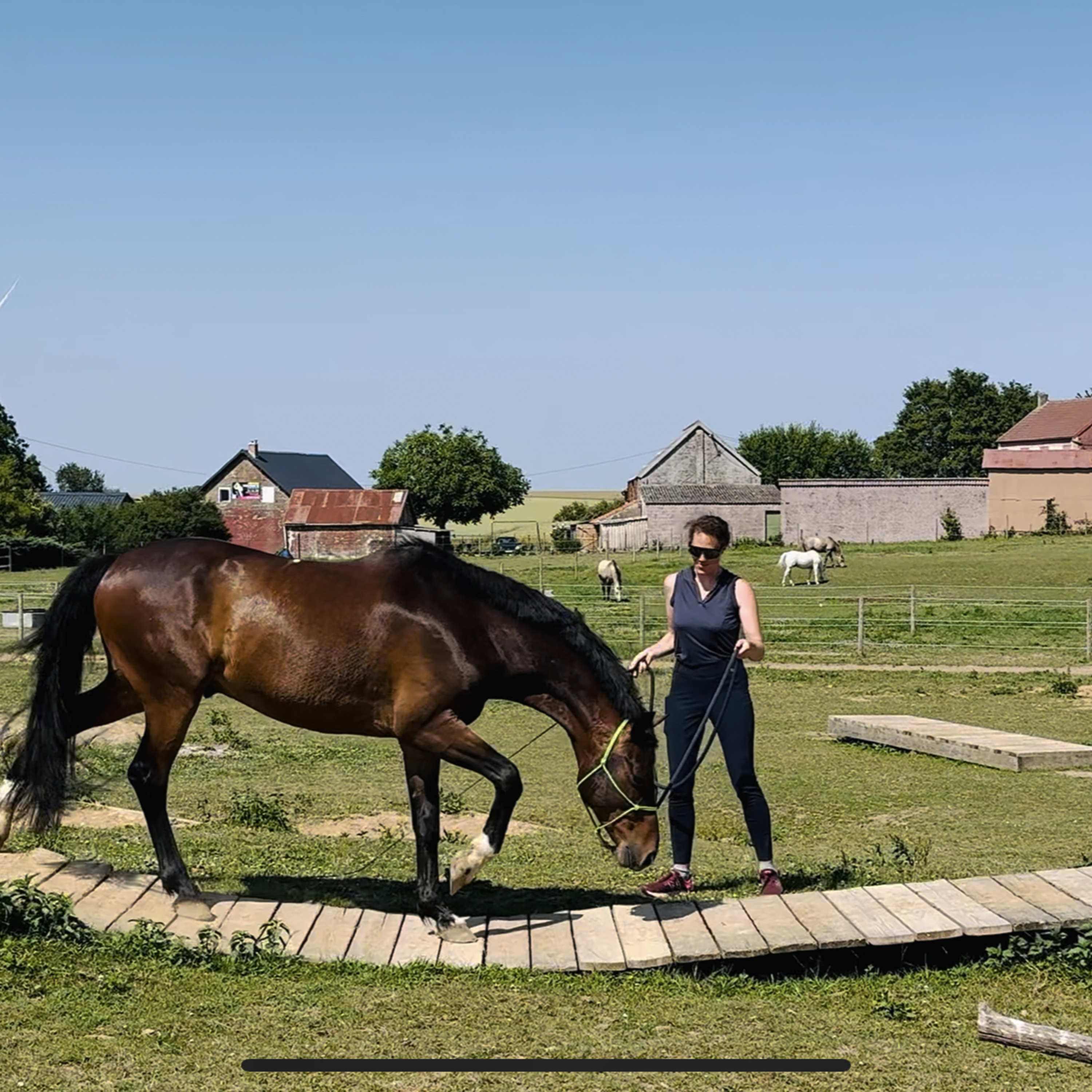 ABdressage - en équilibre - The Audrey Blau’s podcast