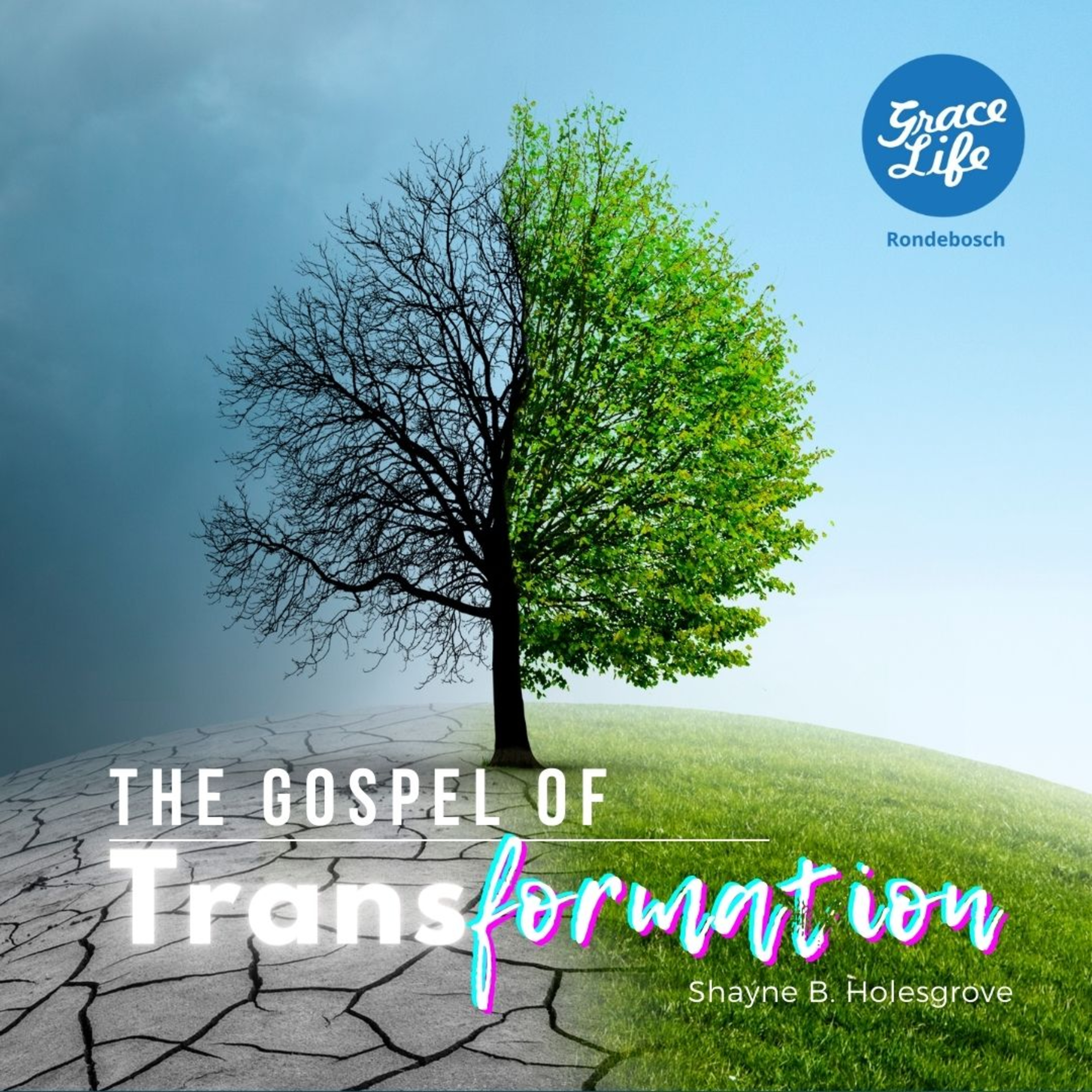  The Gospel Of Transformation - Shayne Holesgrove (Rondebosch)  episode artwork