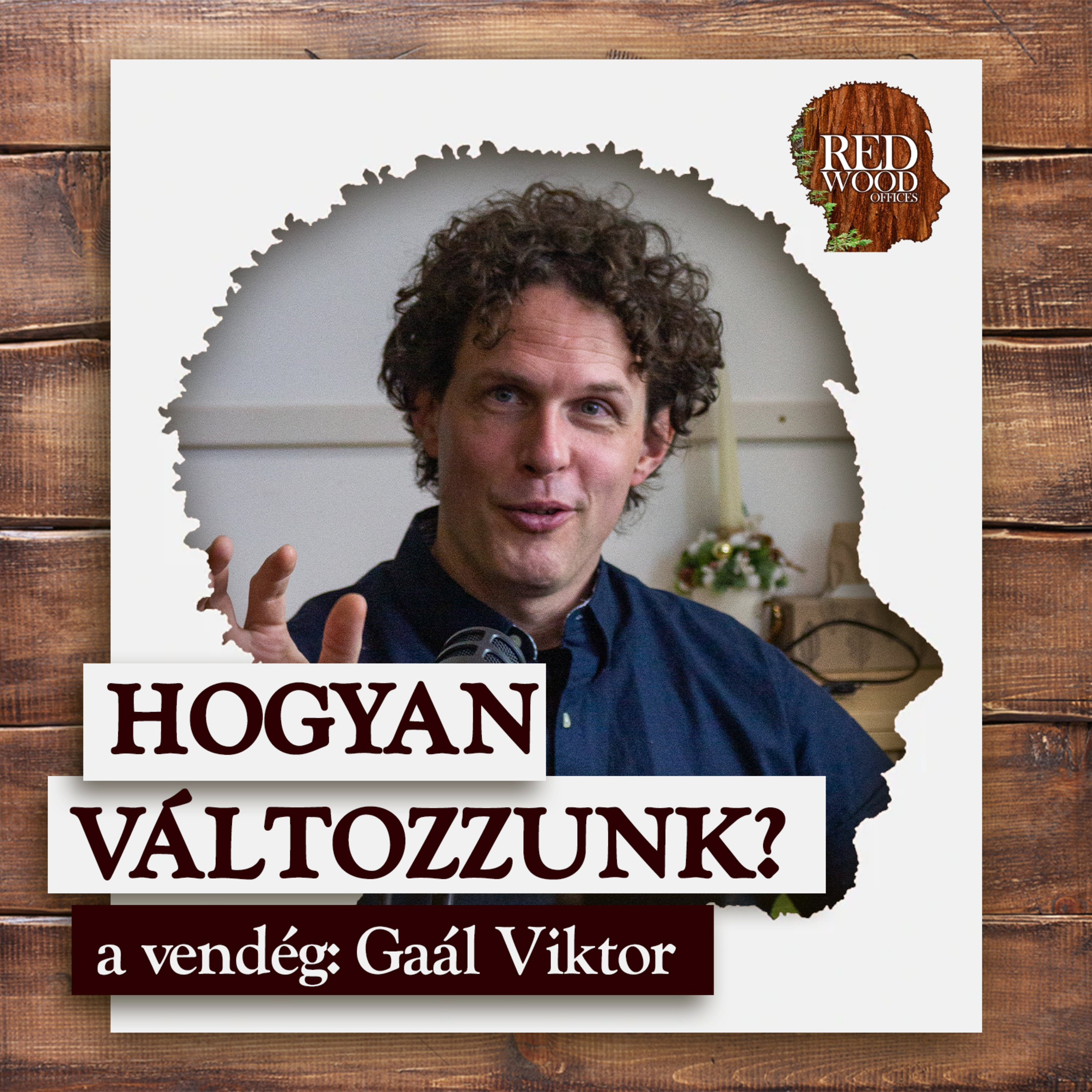 Hogyan változzunk és fejlődjünk? - Gaál Viktor, pszichológus episode artwork