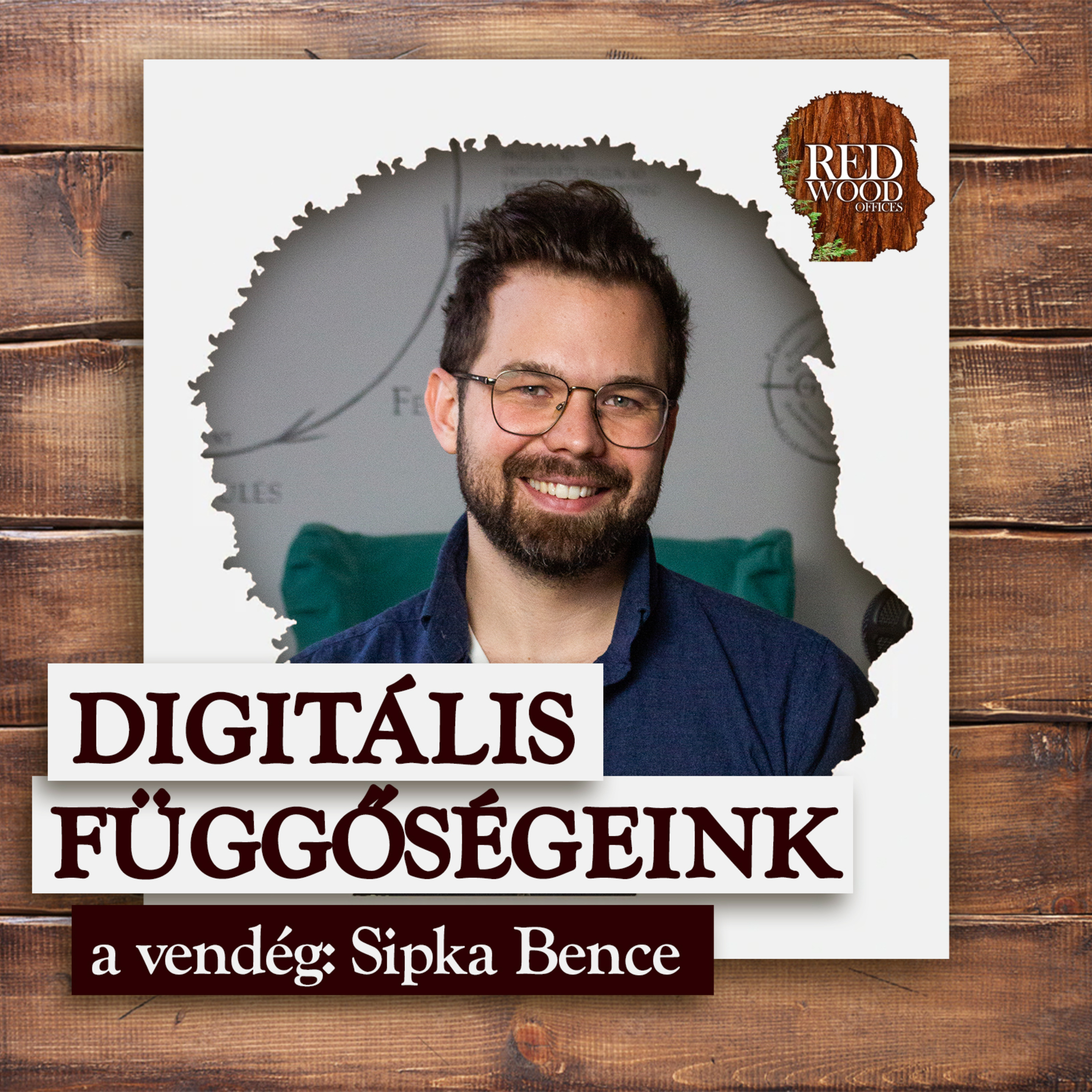 A digitális világ veszélye, hogy nem csinálunk helyette semmit - Sipka Bence, pszichológus episode artwork