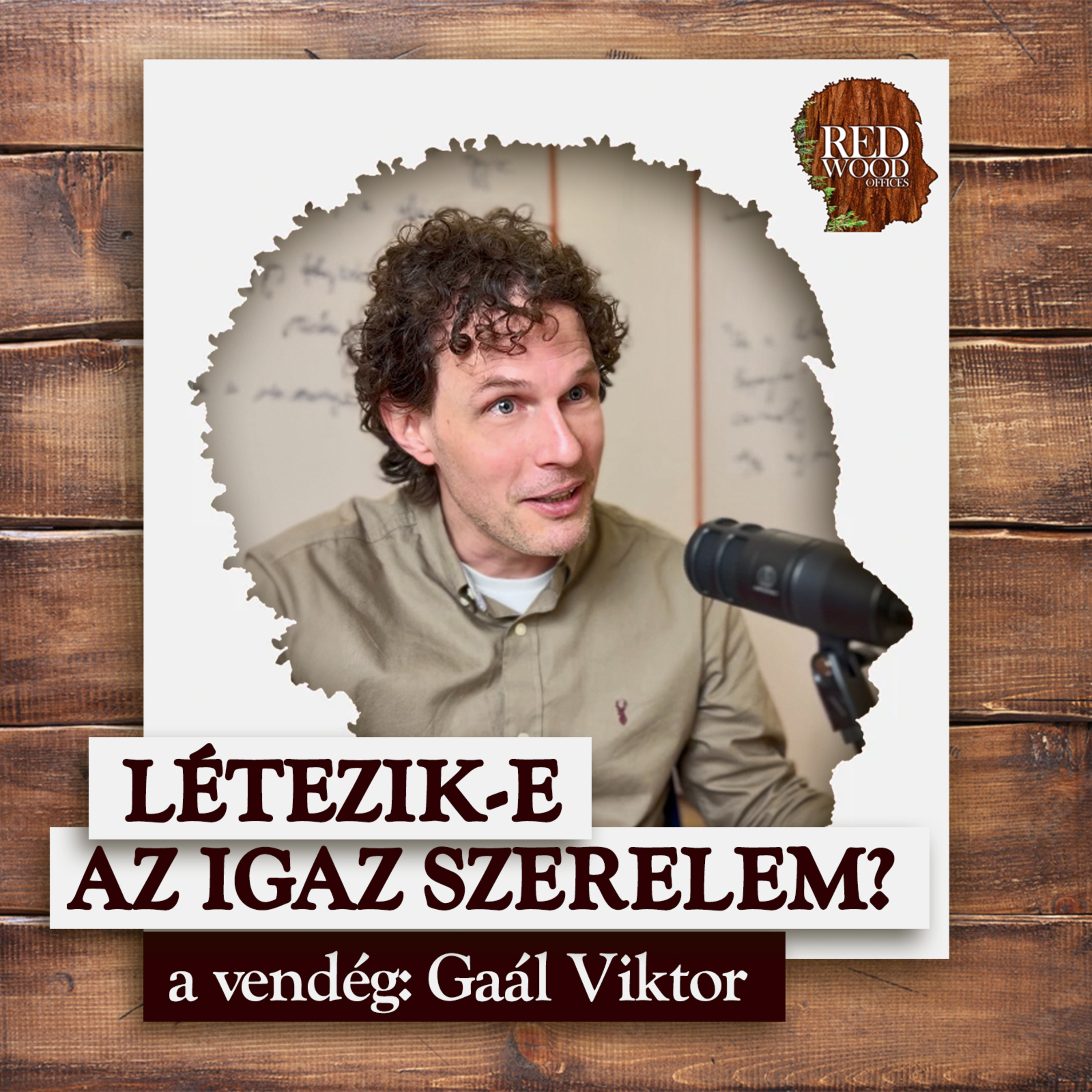 Létezik-e az igaz szerelem a pszichológus szerint? - Gaál Viktor episode artwork