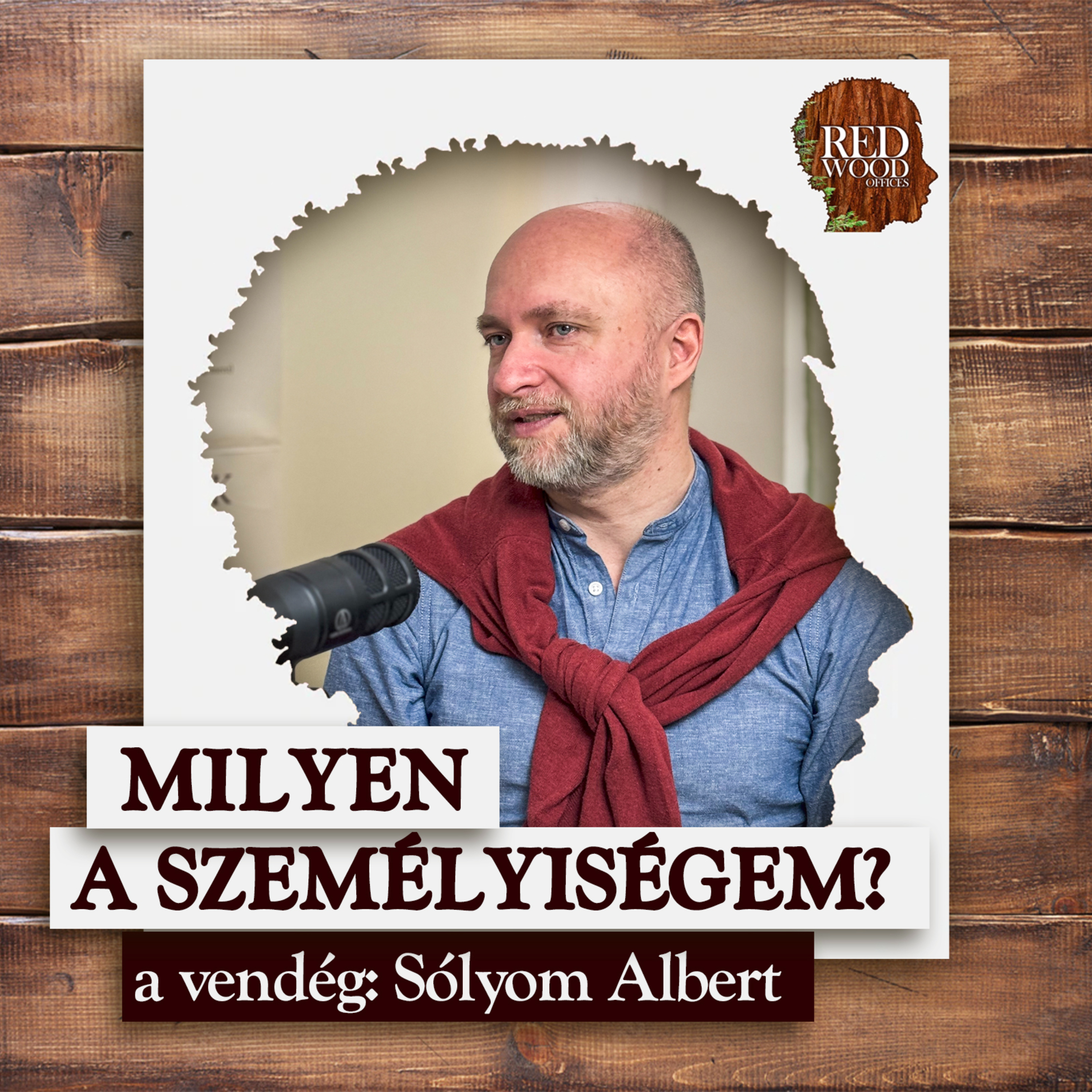 Milyen a személyiségem? - Sólyom Albert, business coach episode artwork