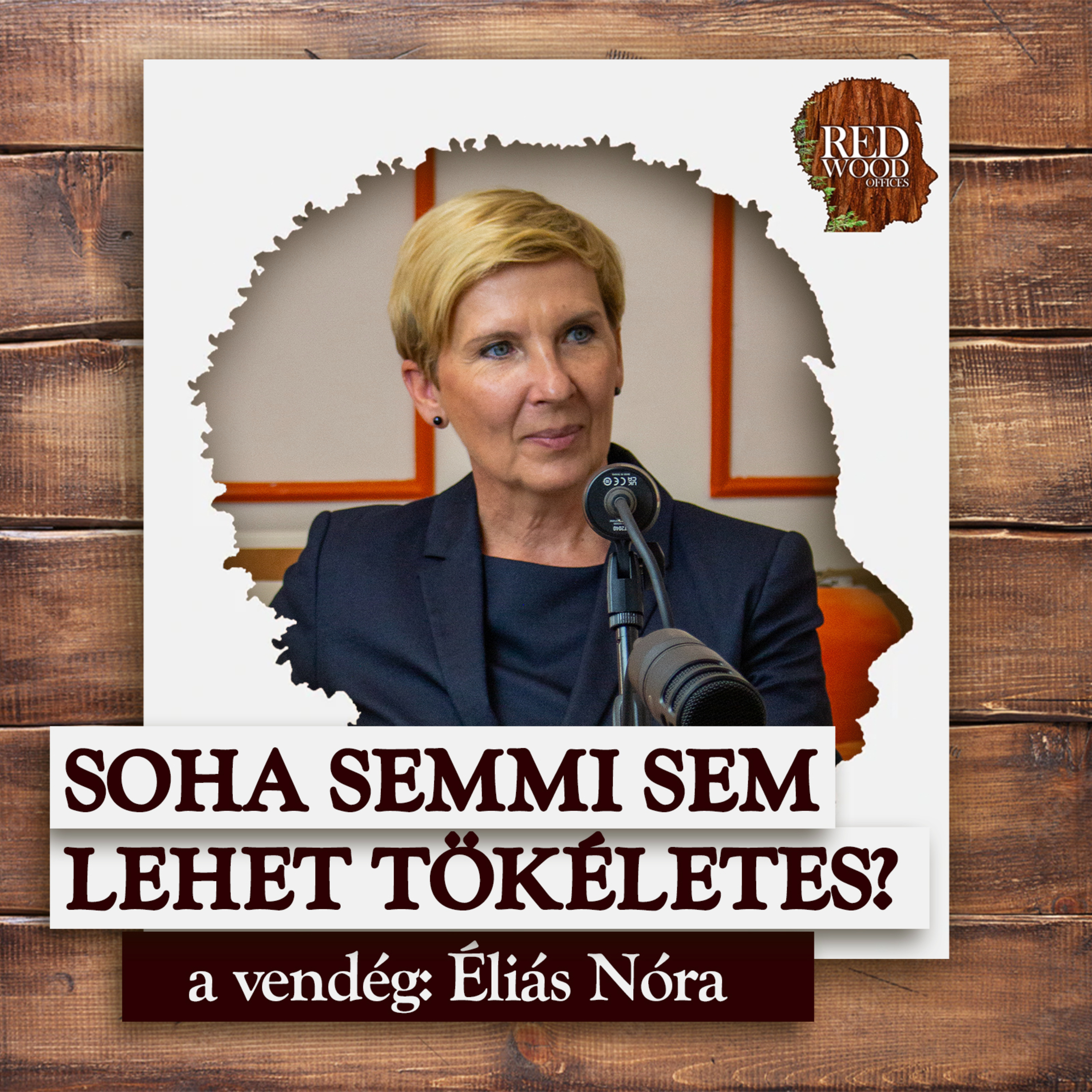 Semmi sem lehet tökéletes, avagy a perfekcionizmus fogságában - Éliás Nóra, business coach episode artwork