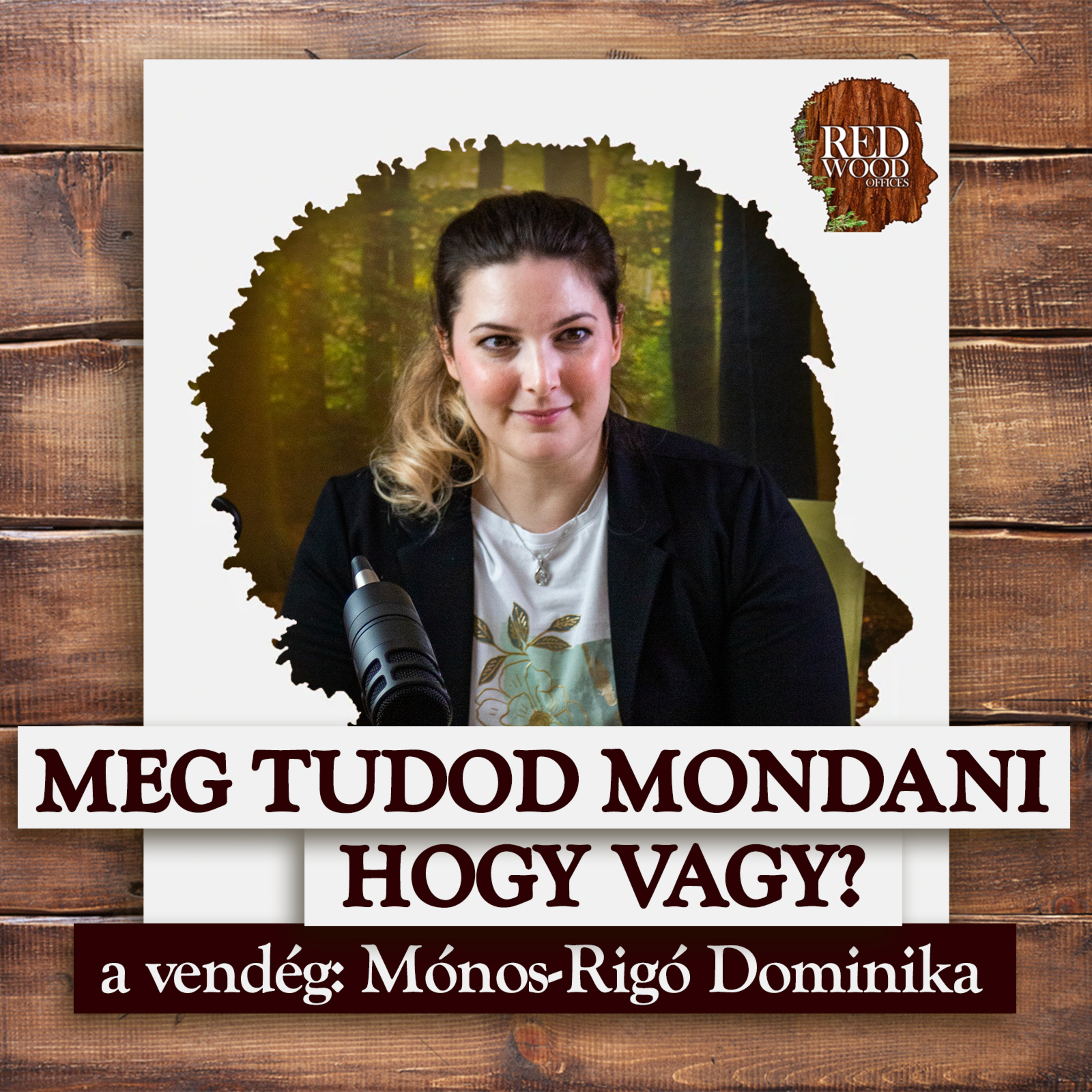 Tudod egyáltalán, hogy vagy? - Mónos-Rigó Dominika, pszichológus episode artwork