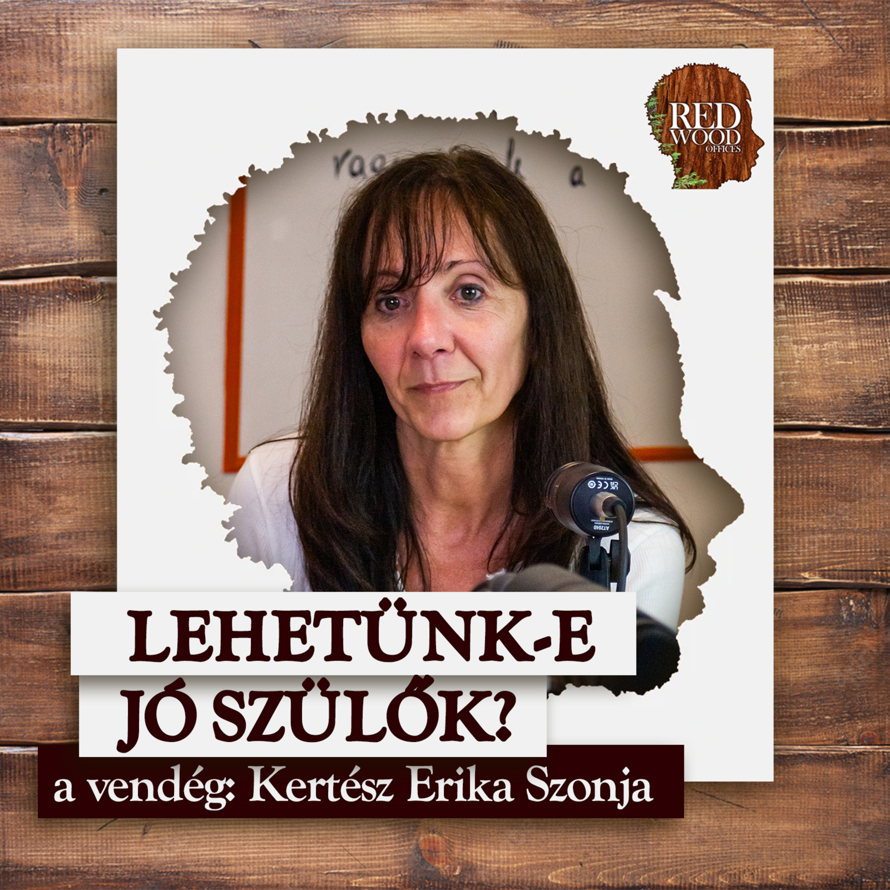 Lehetünk-e jó szülők a 21. században? - Kertész Erika Szonja, pszichológus episode artwork