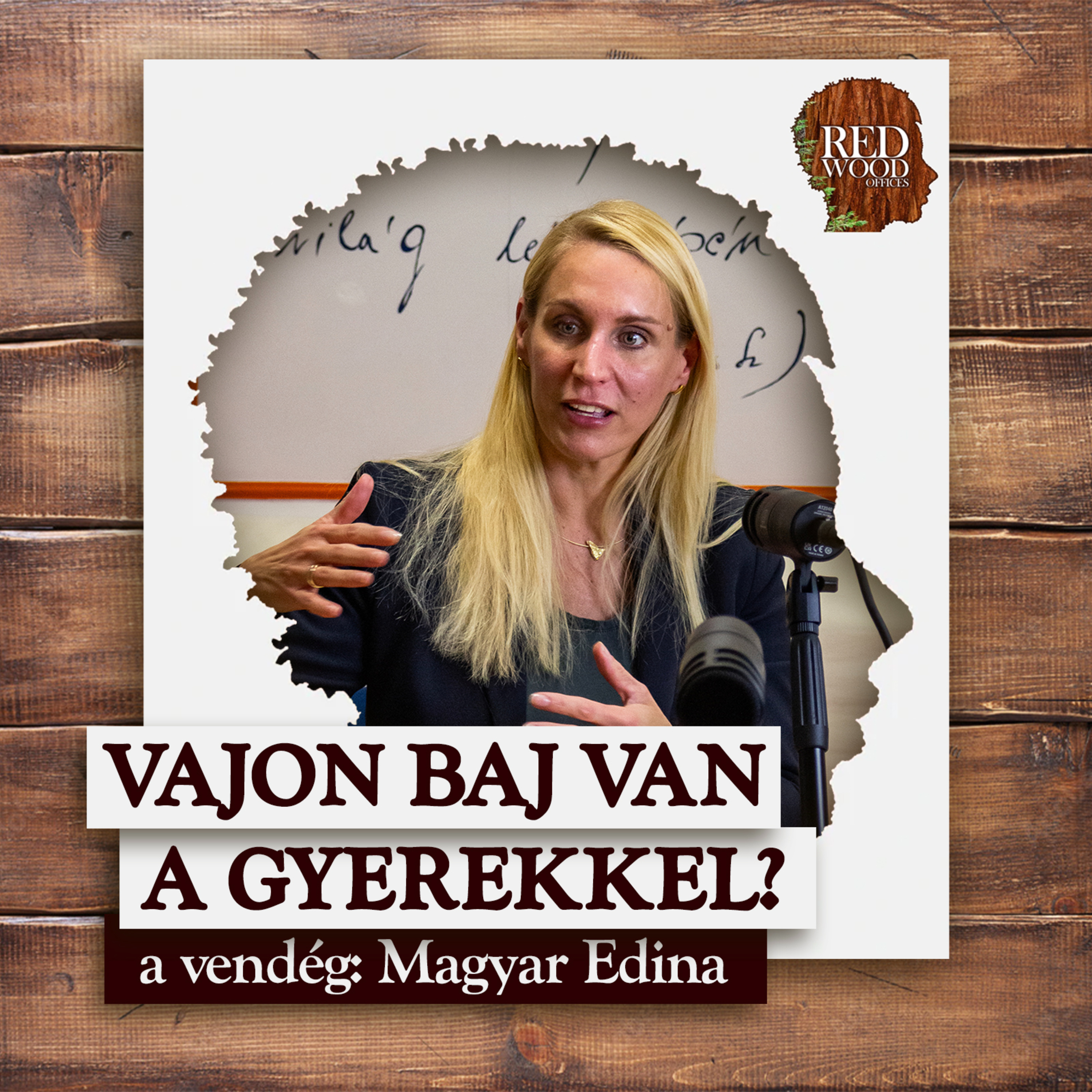 Vajon baj van a gyerekkel? - Magyar Edina, pszichológus episode artwork