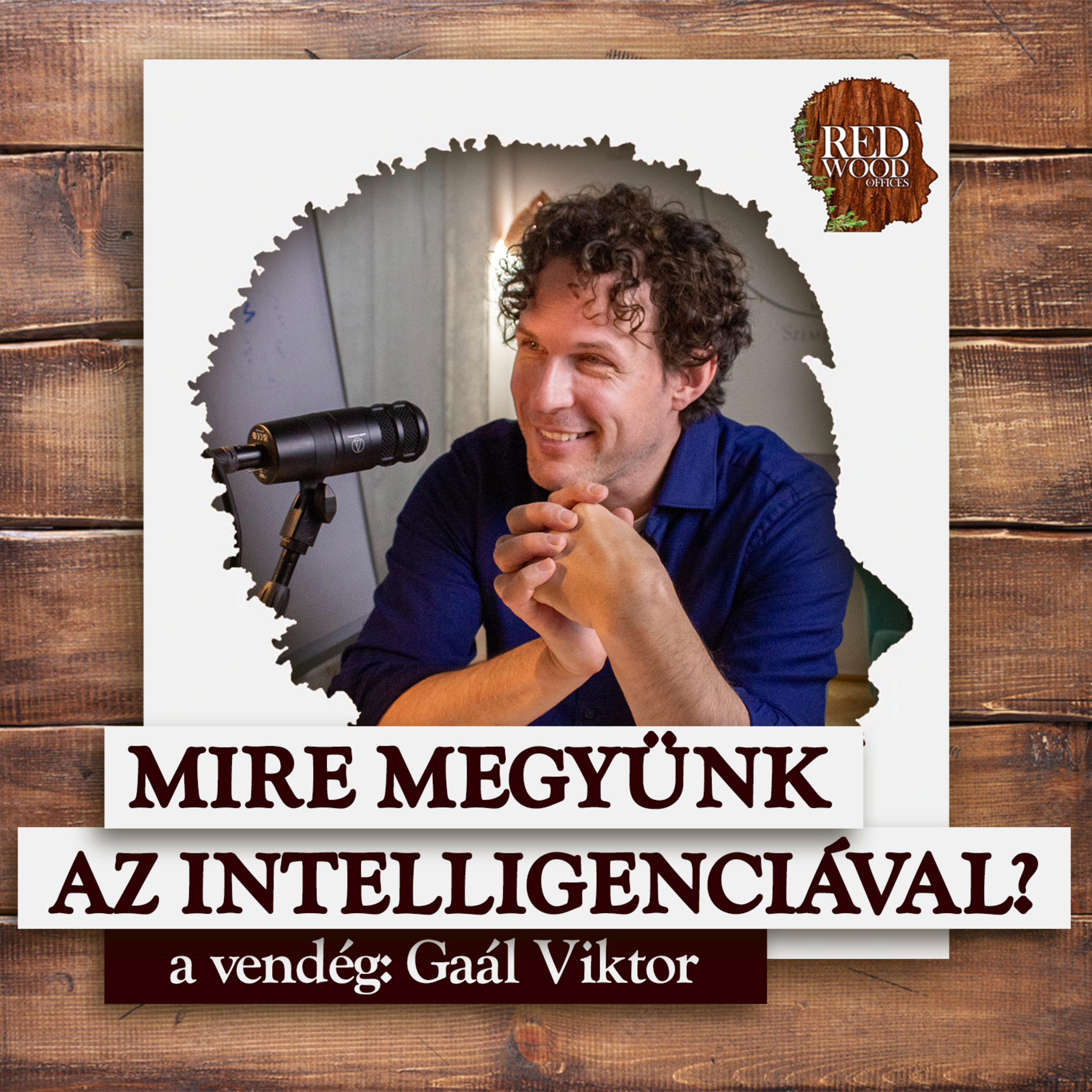 Mire megyünk az intelligenciával? Számít az IQ? - Gaál Viktor, pszichológus episode artwork