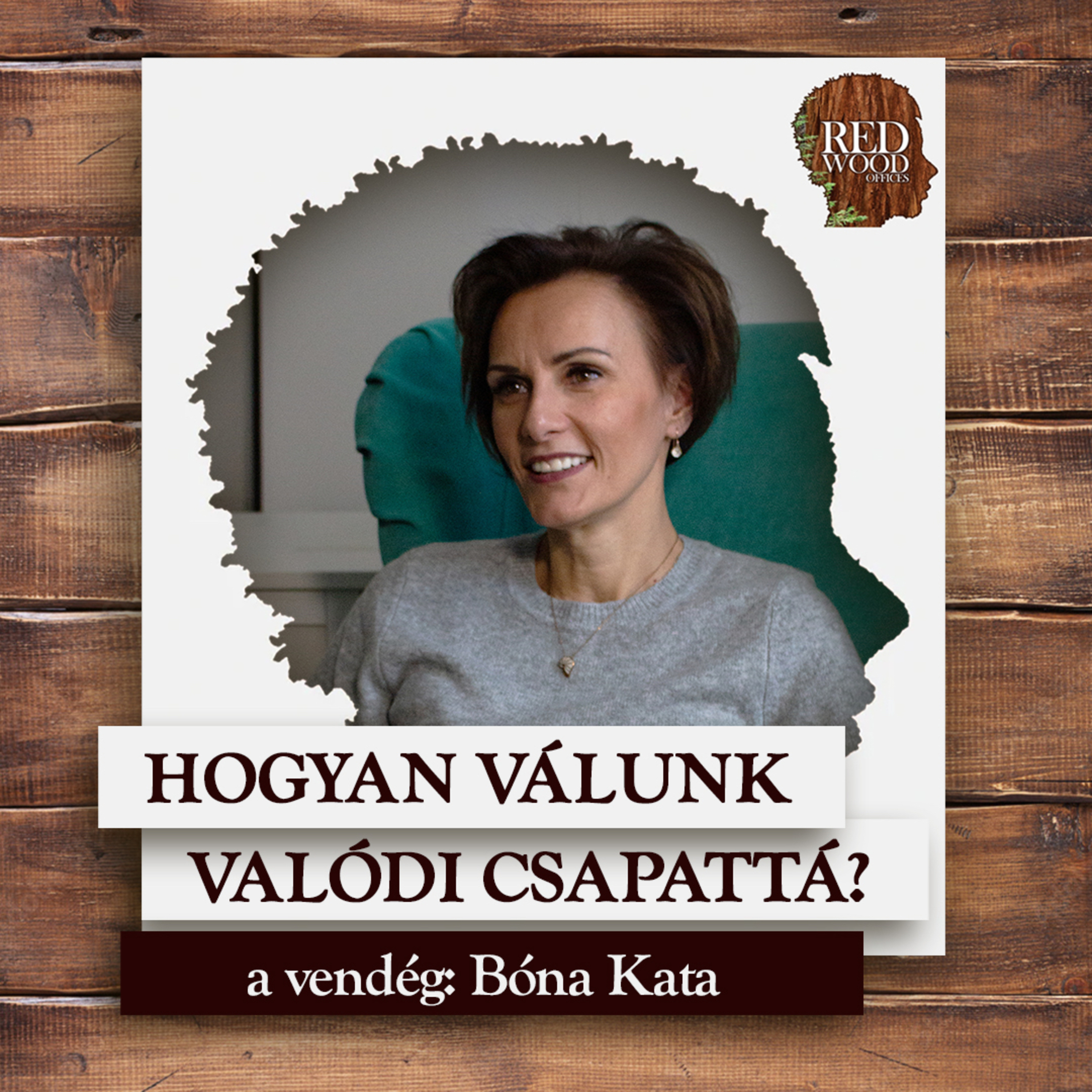 Hogyan válunk valódi csapattá? - Bóna Kata, pszichológus, szervezetfejlesztő episode artwork