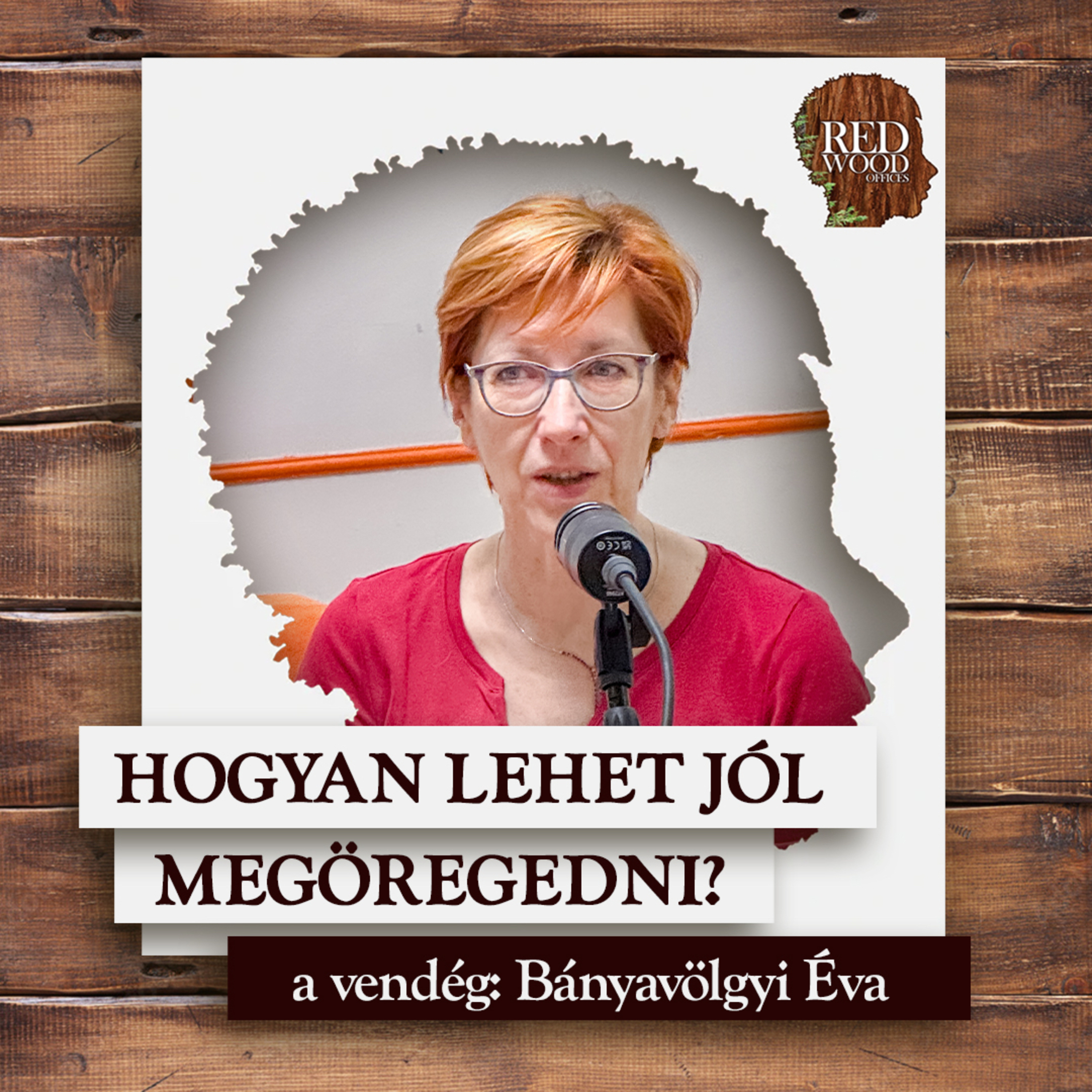 Hogyan lehet jól megöregedni? - Bányavölgyi Éva, pszichológus episode artwork